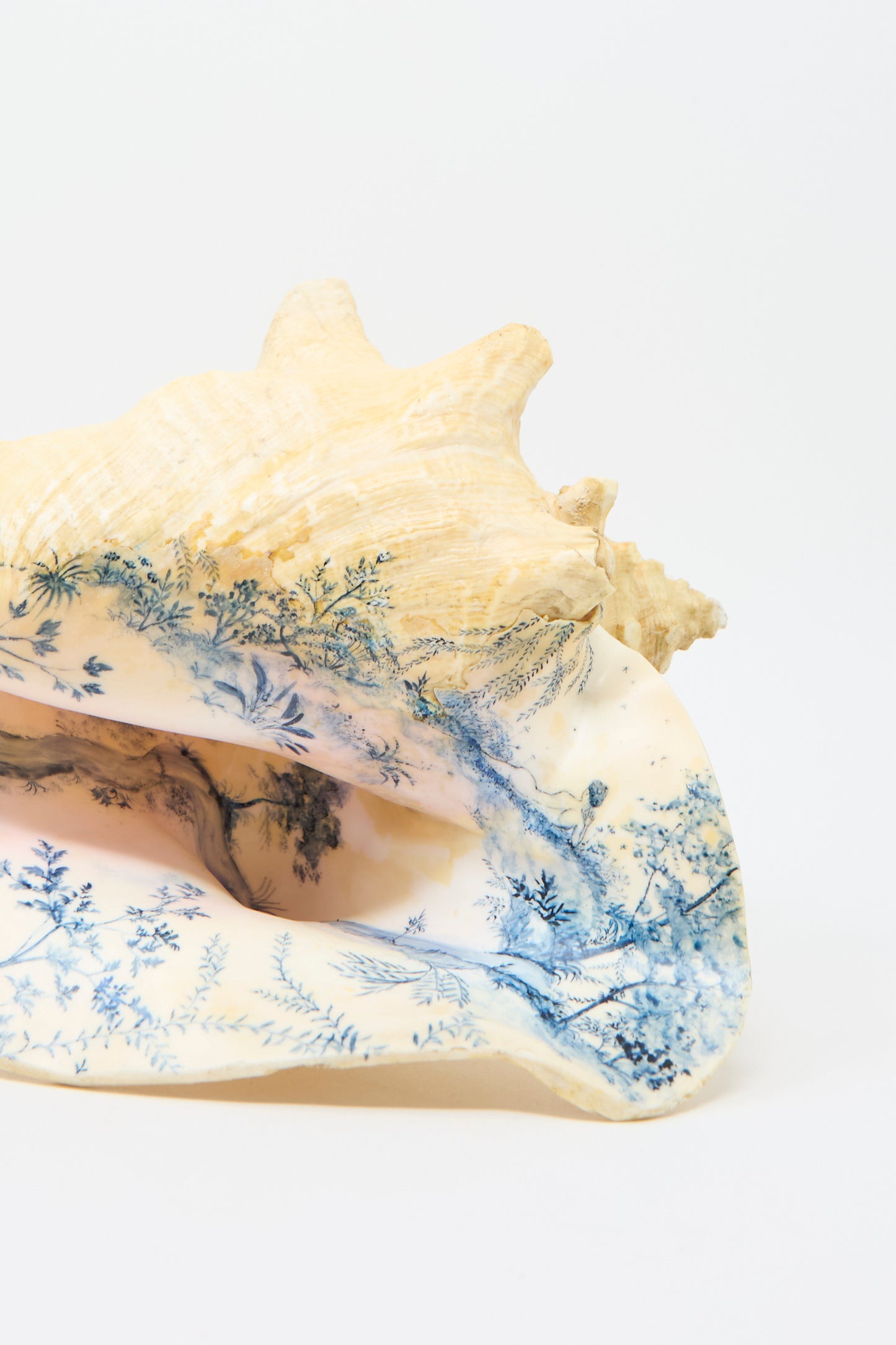 A close up of the Hand Painted Conch III from Alyssa Goodman, showcasing the delicately hand painted blue designs of flora.