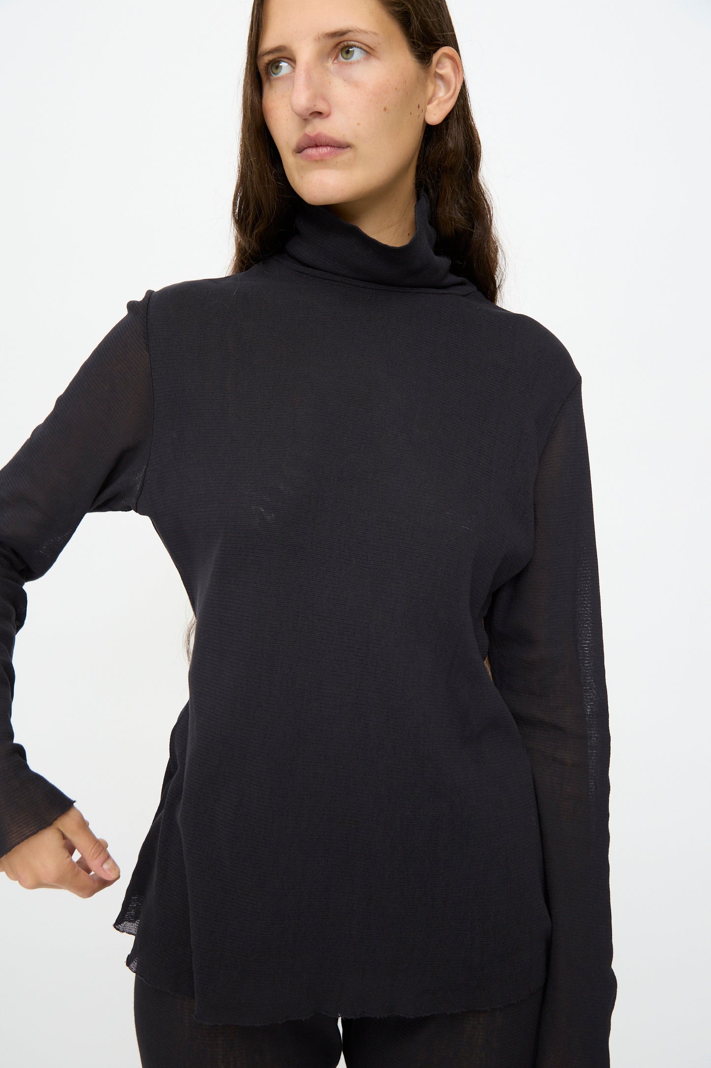 A woman with long brown hair wears the Black Crane Double Mesh Turtleneck in black and black pants, standing against a plain white background.
