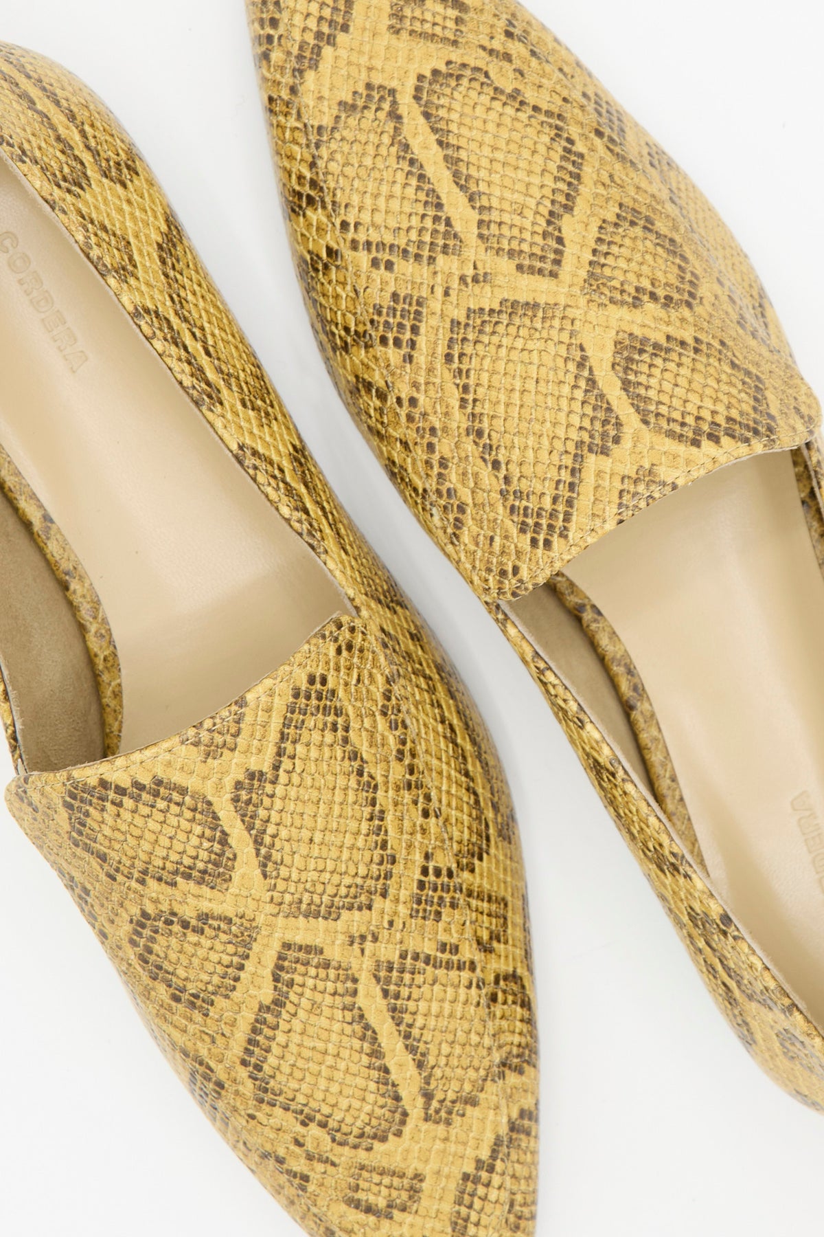 Cordera Pointy Loafer in Snake featuring a pointy-toe design in tan and brown snake-embossed leather.