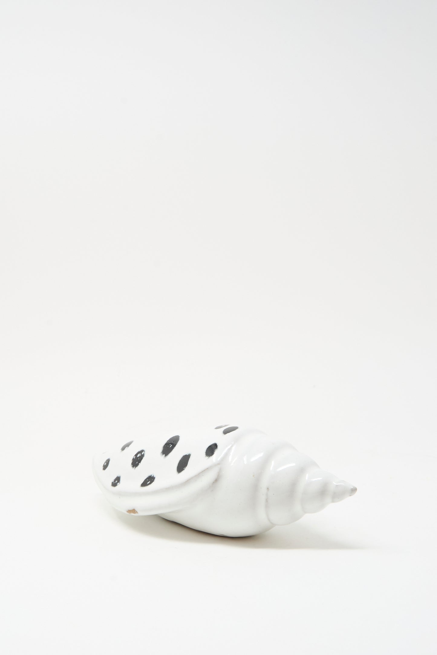 The Shell Rattle XCIII by E.C.C.E is a handmade ceramic shell with black spots, crafted in NYC and shown on a plain white background.