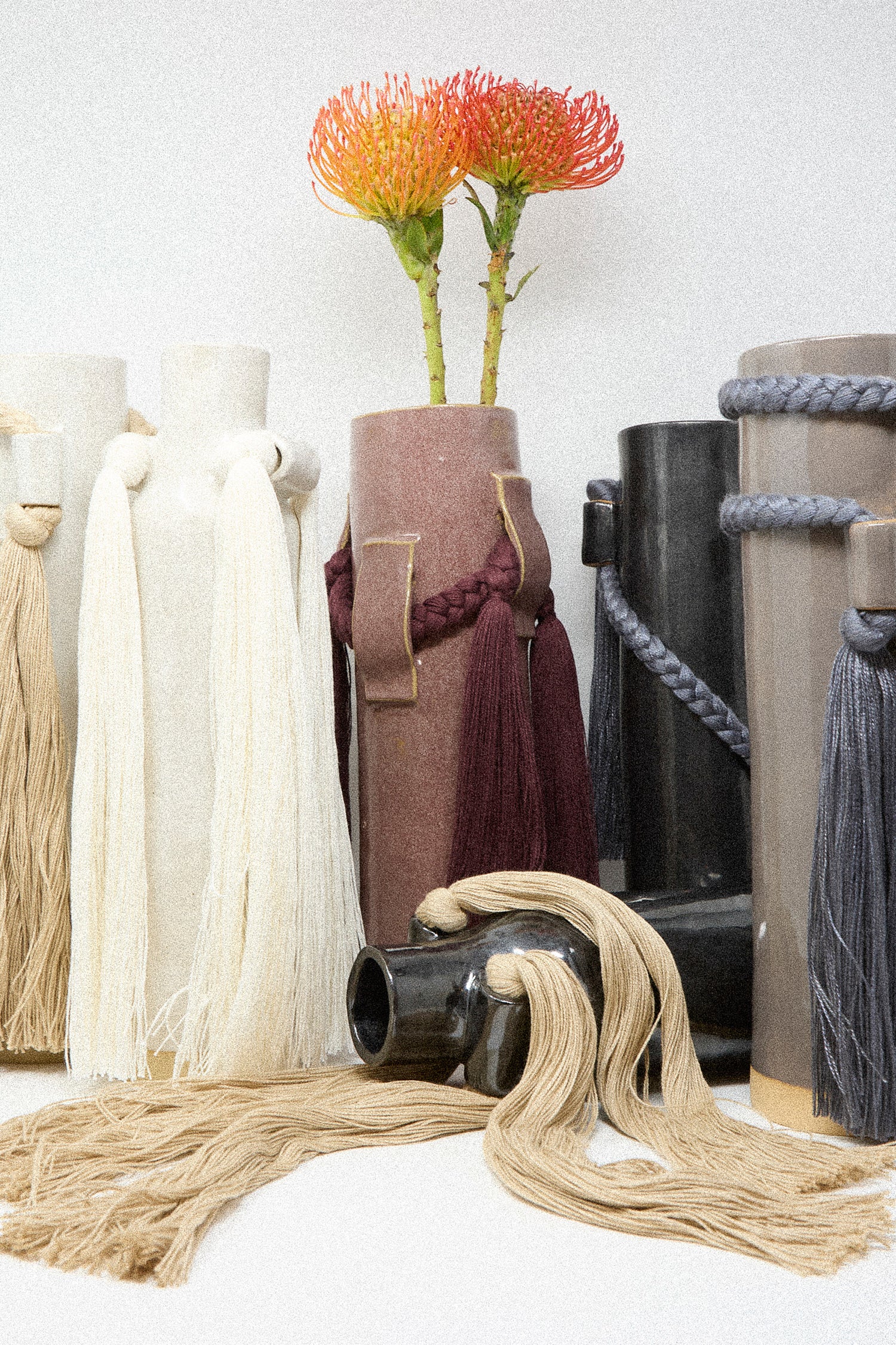 Decorative vases with tassels and a plant on a white background