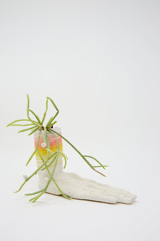 A plant with elongated green stems grows from a Monty J Ceramic Hand Sculpture with Pink and Yellow Thread containing a multicolored gradient card.