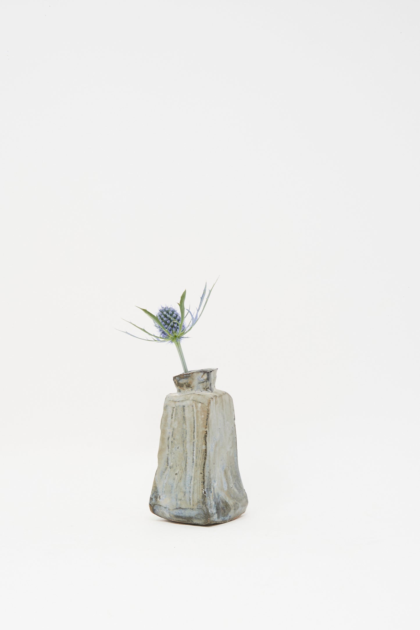 The Carved Bud Vase II by MONDAYS displays a single spiky thistle flower against a plain white backdrop, capturing minimalist Brooklyn charm.