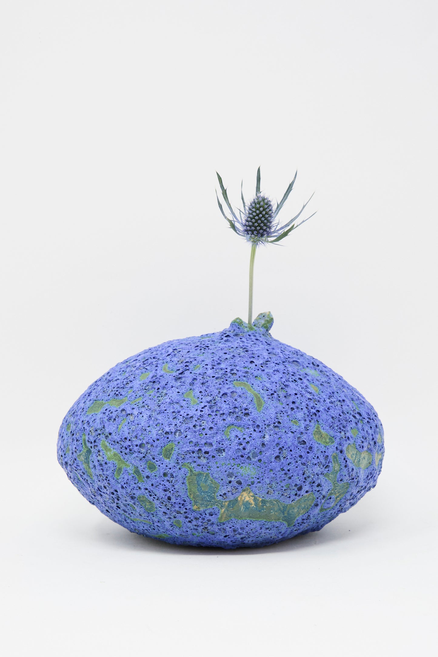 A single thistle flower stands in the MONDAYS Glazed Stoneware Moon Vase in Blue, featuring a textured finish and displayed against a plain white background.