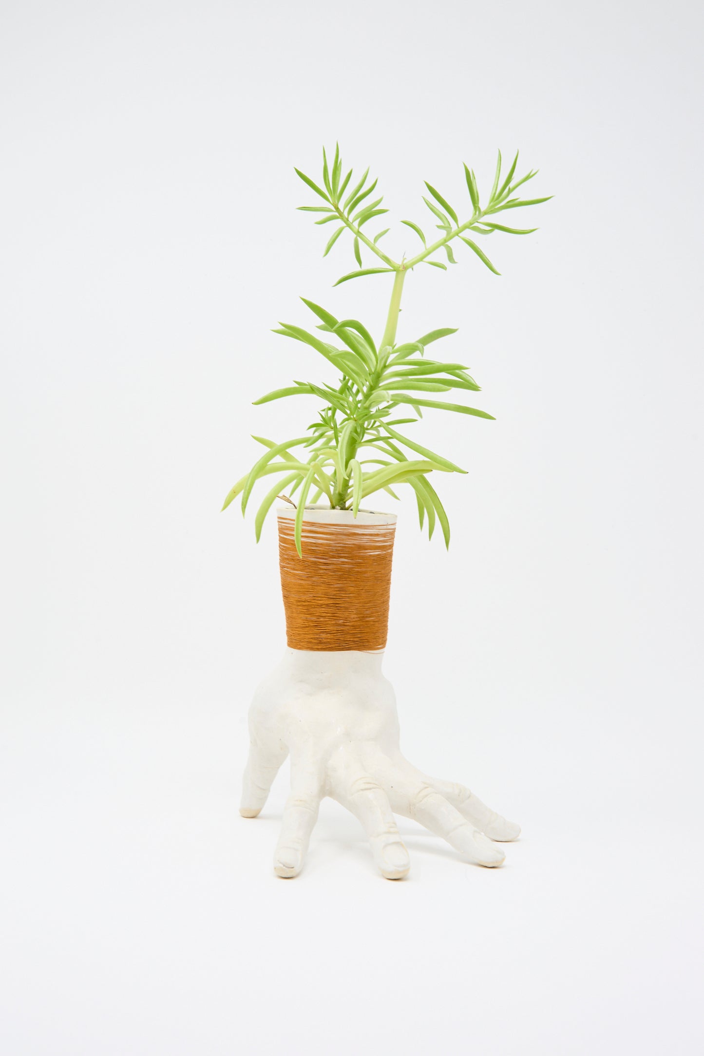 A small cactus in a brown pot sits on the Monty J Ceramic Hand Sculpture with Rust Thread, handmade in Brooklyn, against a plain white background.