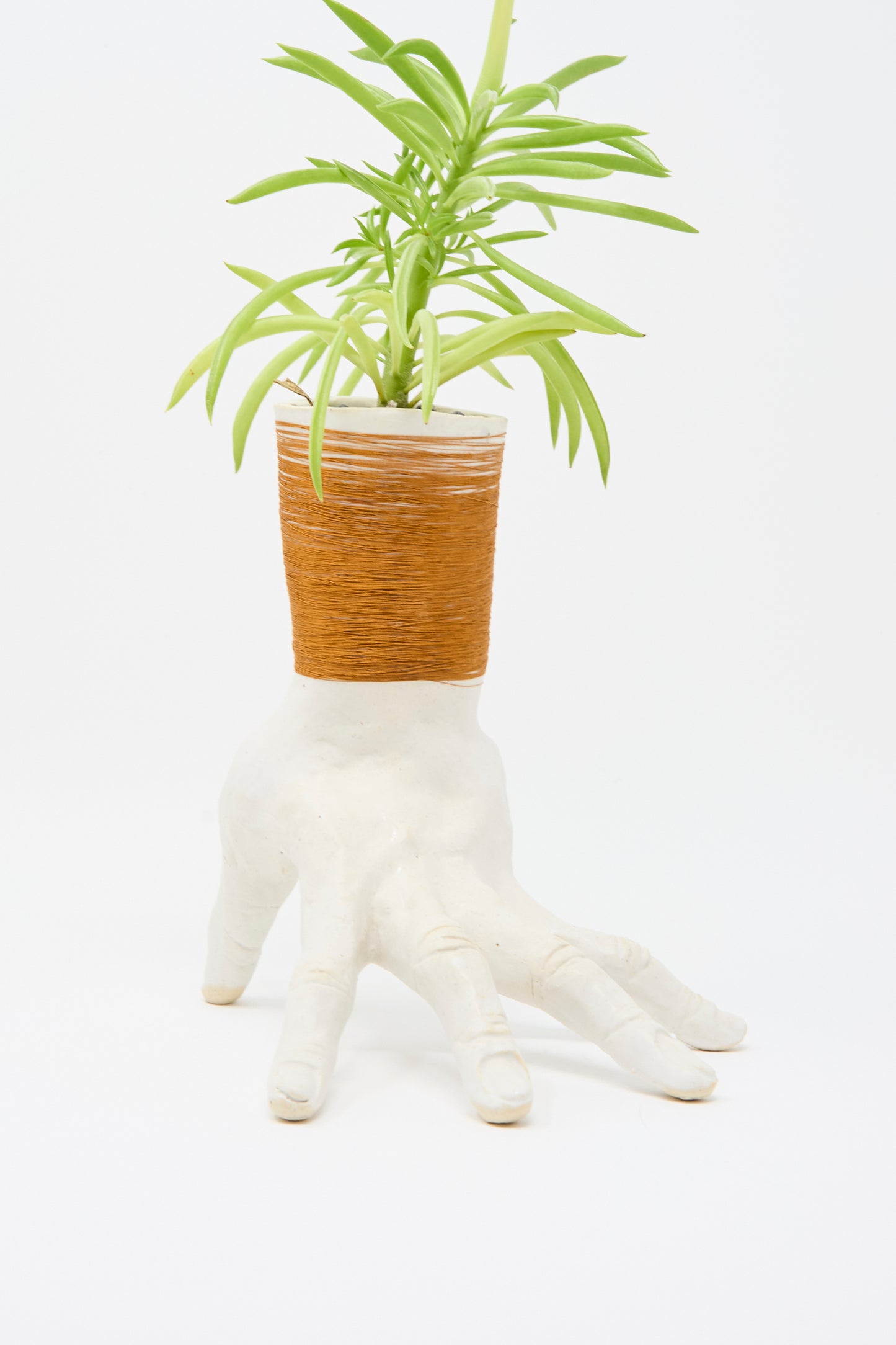 A green cactus rises from the Monty J Ceramic Hand Sculpture with Rust Thread, its fingers forming the base. Handmade in Brooklyn, this unique pot stands out against a plain white background.