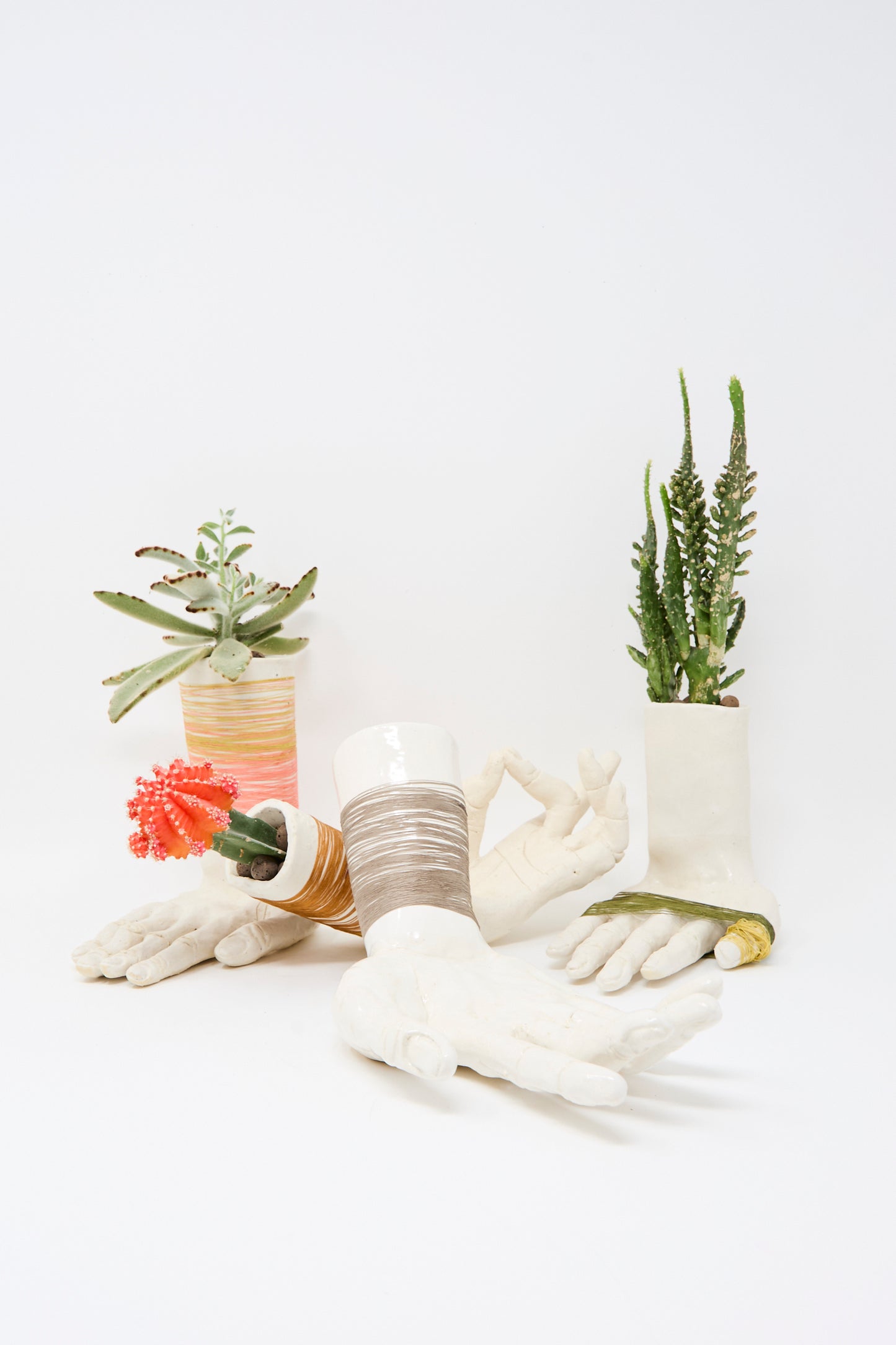The Monty J Ceramic Hand Sculpture with Green Thread holds assorted small succulents and cacti, arranged artfully on a white background.