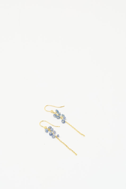 Stephanie Schneider Gold Plated Sterling Silver Earrings with Blue Sapphires, shown on a plain white background.