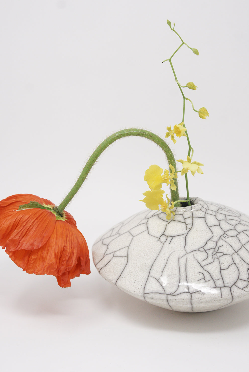 A drooping orange poppy and a stem of yellow flowers arranged in a MONDAYS Ikebana Vase in Raku-Fired Stoneware with a crackled surface.
