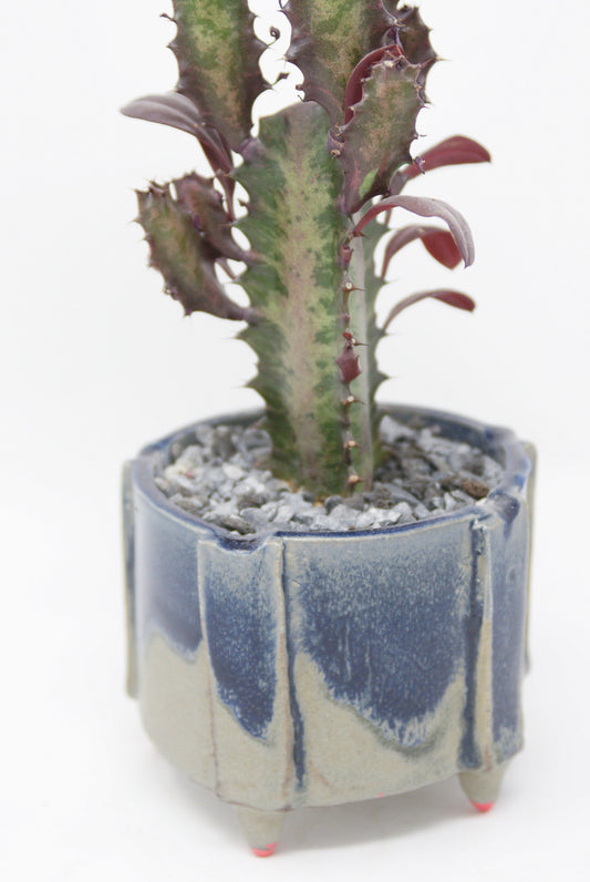 A spiky plant in a Beth Planter in Blue by Monty J, designed by a Brooklyn-based artist, with gravel on top of the soil.