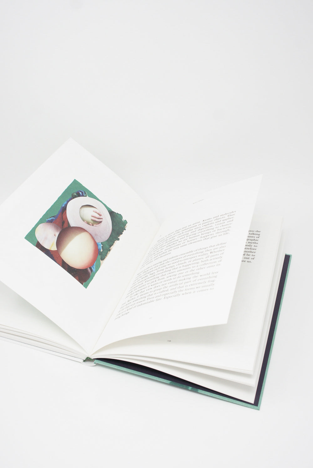 An open Viviane Sassen & Emanuele Coccia: Modern Alchemy photobook with an image of a natural world by Artbook/D.A.P.