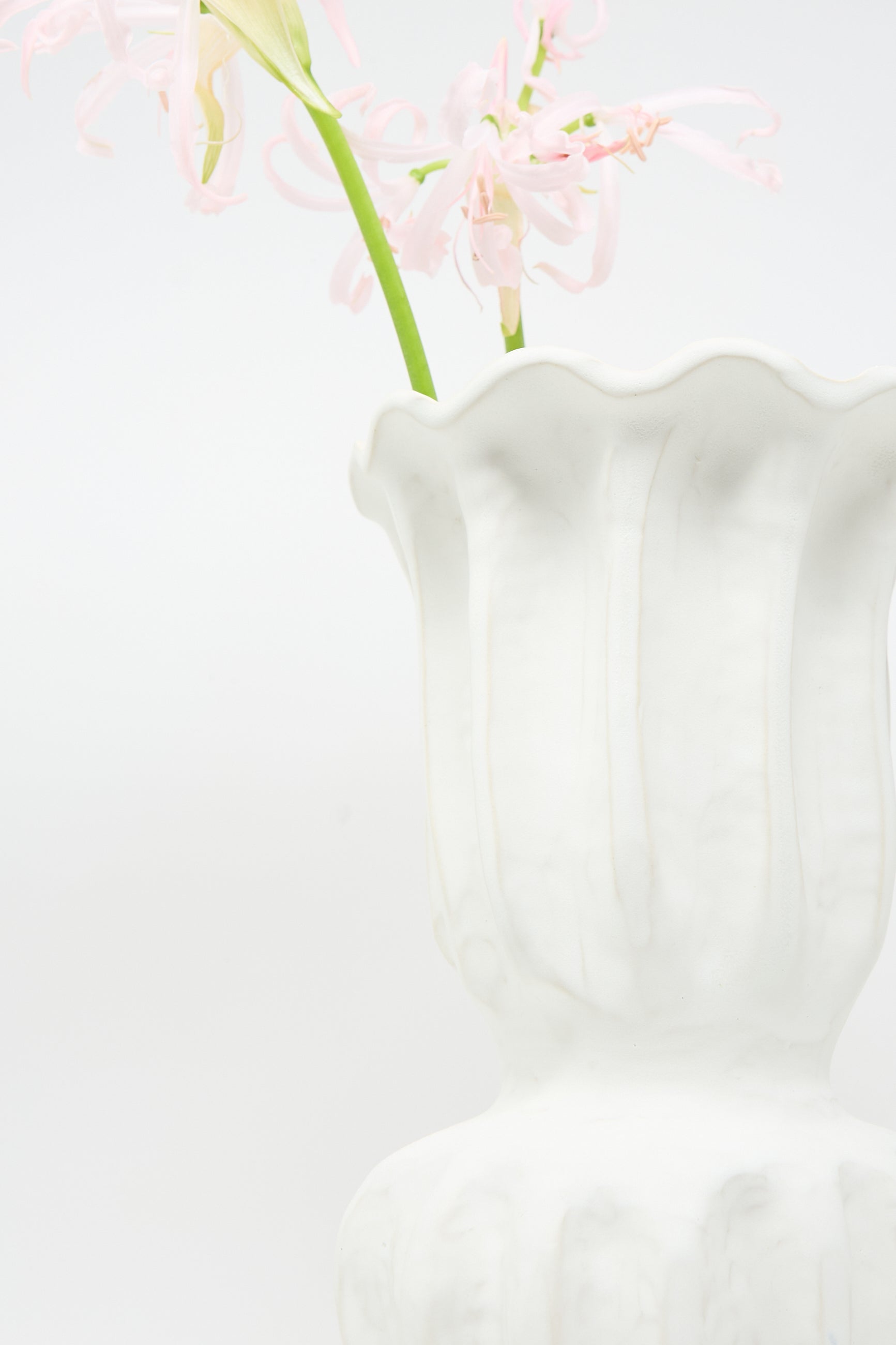 The Pleat Vase in Matte White Glaze by ANK Ceramics cradles two pink flowers extending gracefully against a light background.