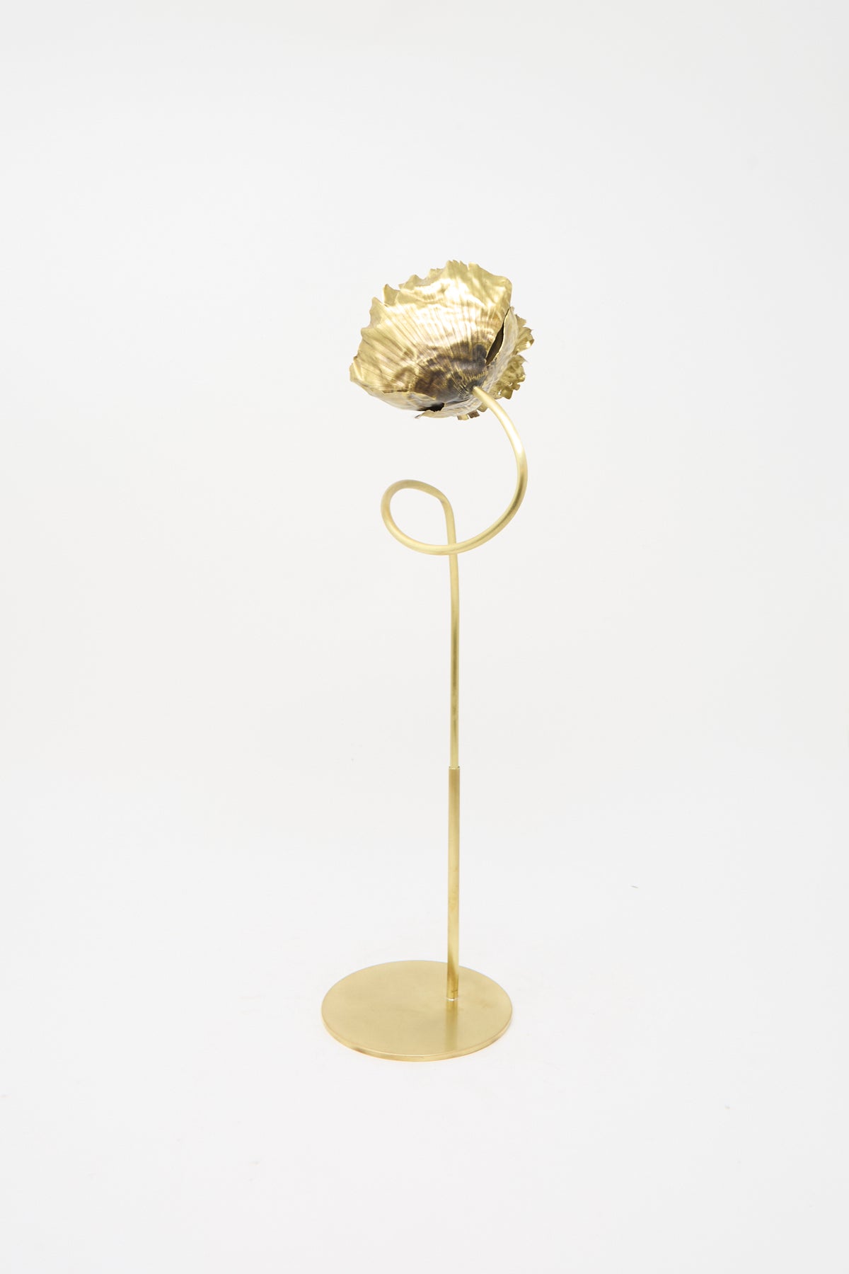 A Brass Papaver No. 3 sculpture of a single poppy flower on a tall, thin stem with a curled detail and a circular base by Alison Layton.