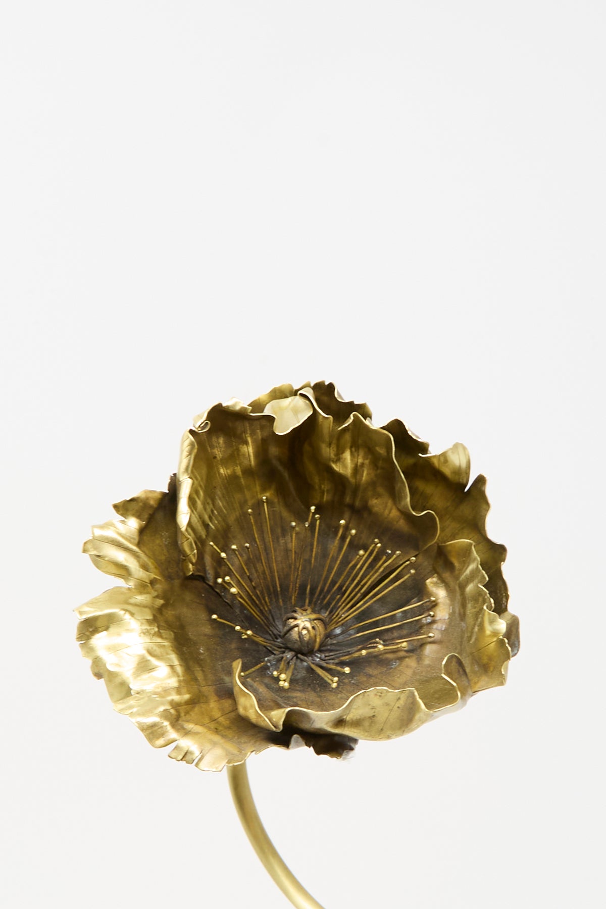 Alison Layton Brass Papaver No. 3 sculptural sterling silver poppy flower with ruffled petals and thin stamens, set against a white background.