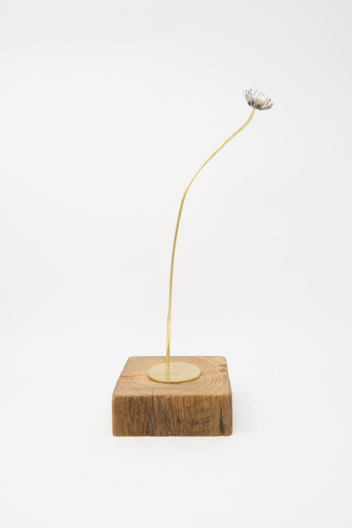 The Sterling Silver and Brass Papaver No. 12 - II is a delicate handmade sculpture with a silver flower head and slender brass stem, mounted on a square wooden block.
