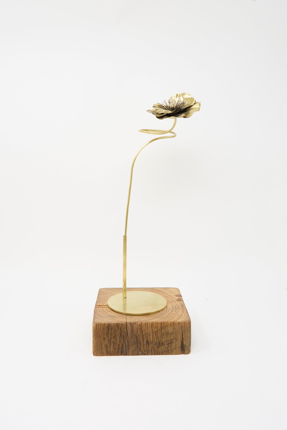 Sterling Silver and Brass Papaver No. 7 - I handmade NYC metal poppy sculpture on a spiral stem, mounted on a square wooden base.
