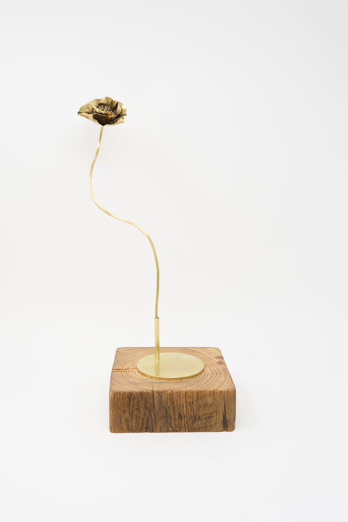 Alison Layton’s Sterling Silver and Brass Papaver No. 7 - II handmade sculpture features a metal flower with a long, thin, curved stem mounted on a square wooden base.