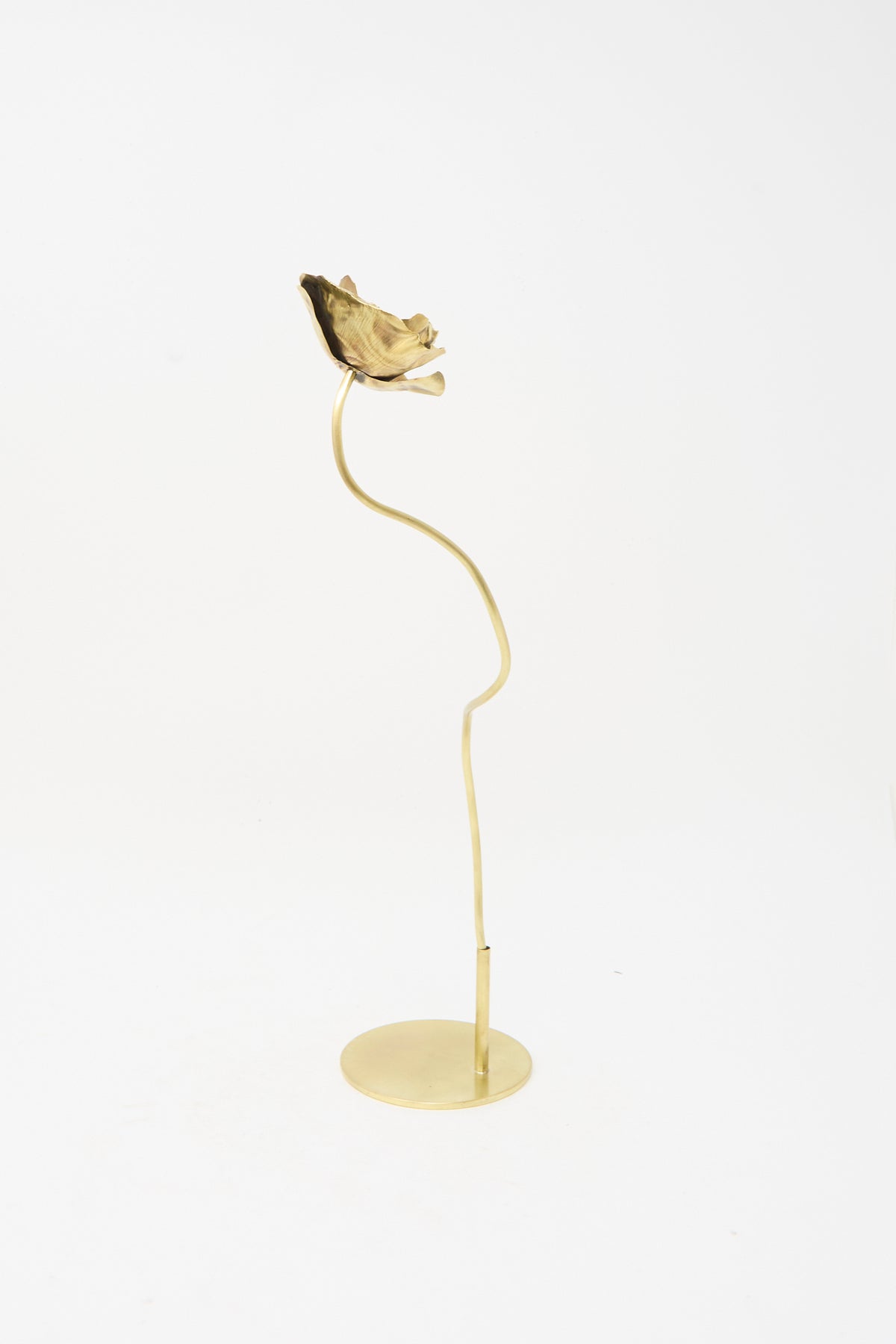 Alison Layton Sterling Silver and Brass Papaver No. 7 - II, a tall, thin metal sculpture featuring a single blossom at the top of a curved stem on a circular base.
