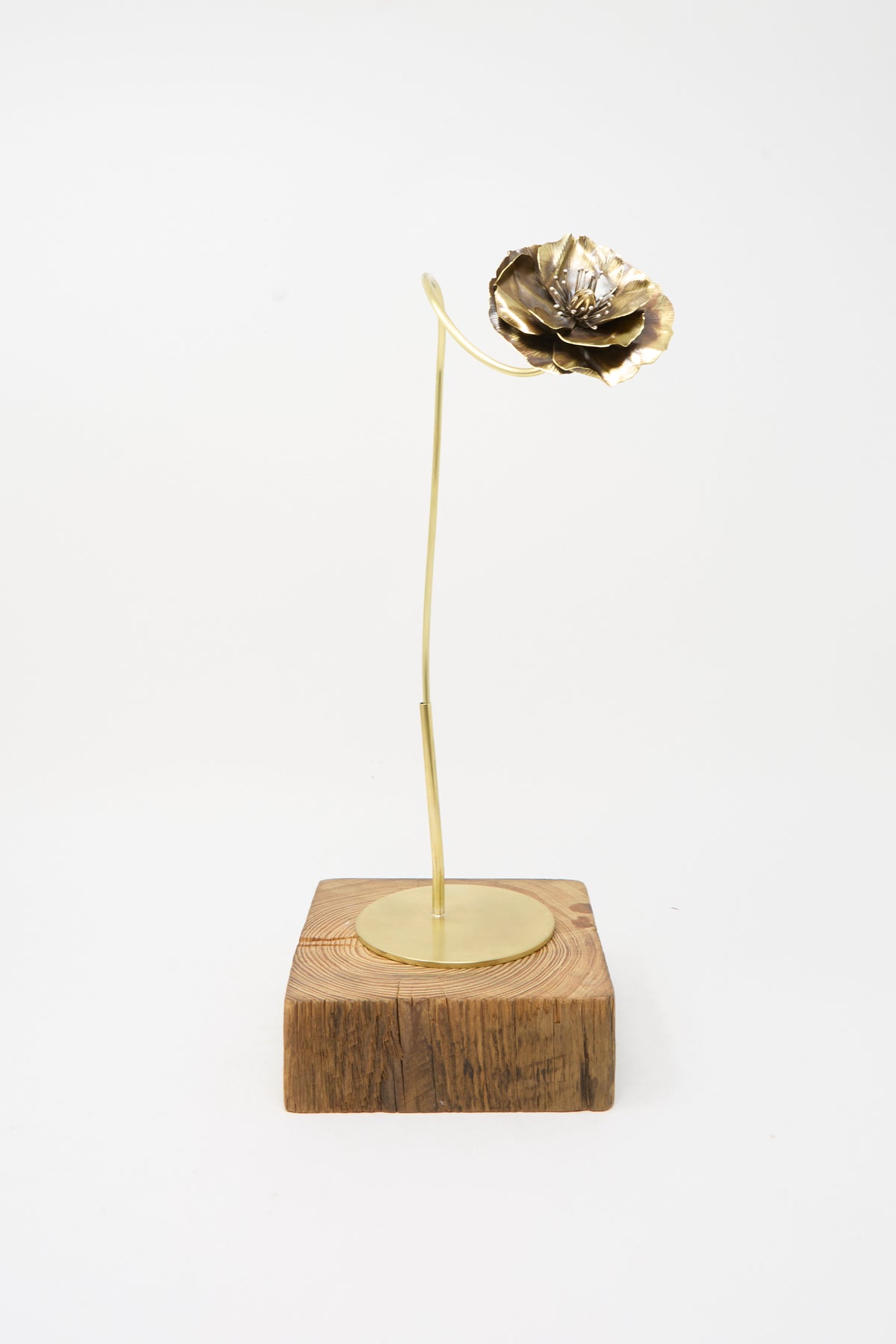 Alison Layton Sterling Silver and Brass Papaver No. 8, a handmade sculpture featuring a metal poppy flower on a thin brass stem standing on a square wooden base.