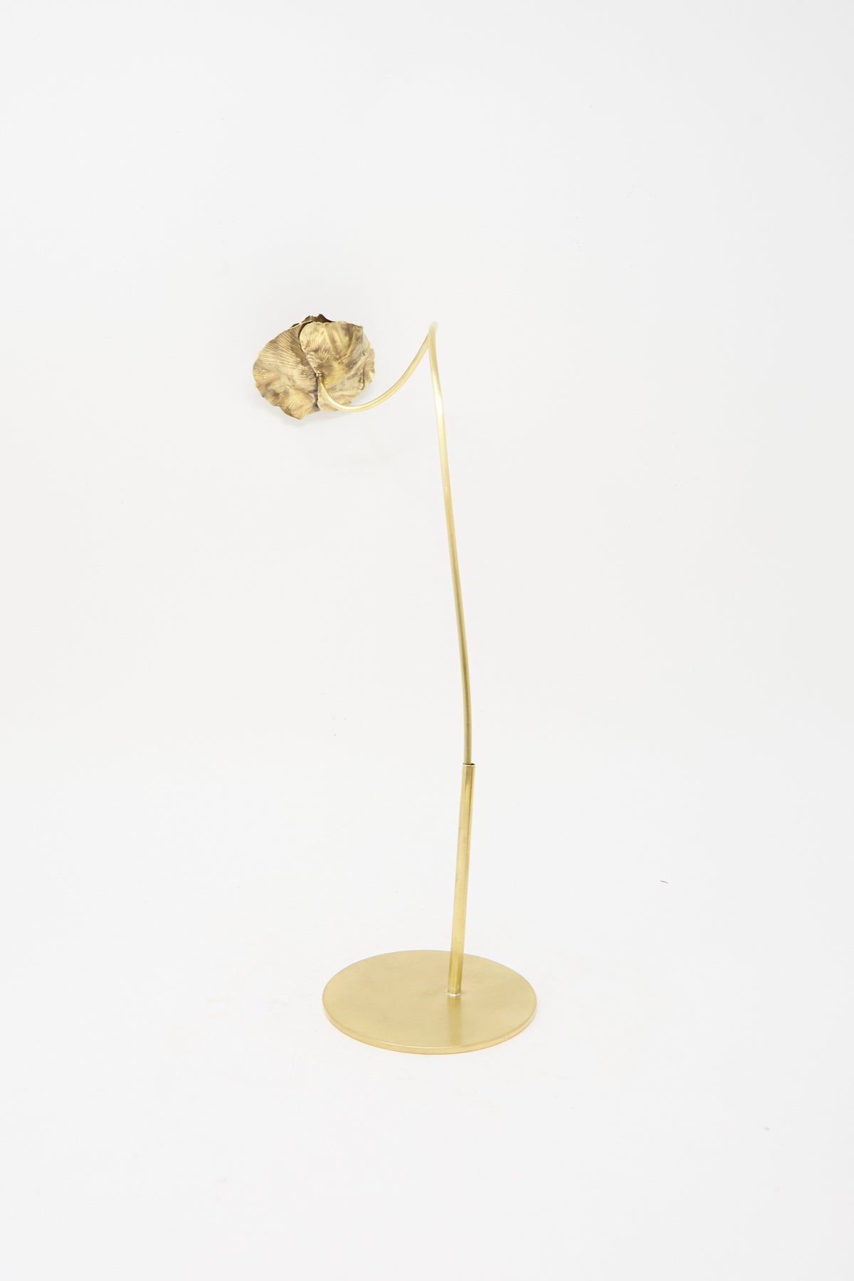 Alison Layton Sterling Silver and Brass Papaver No. 8, a handmade sculpture featuring a metal poppy flower on a thin brass stem.