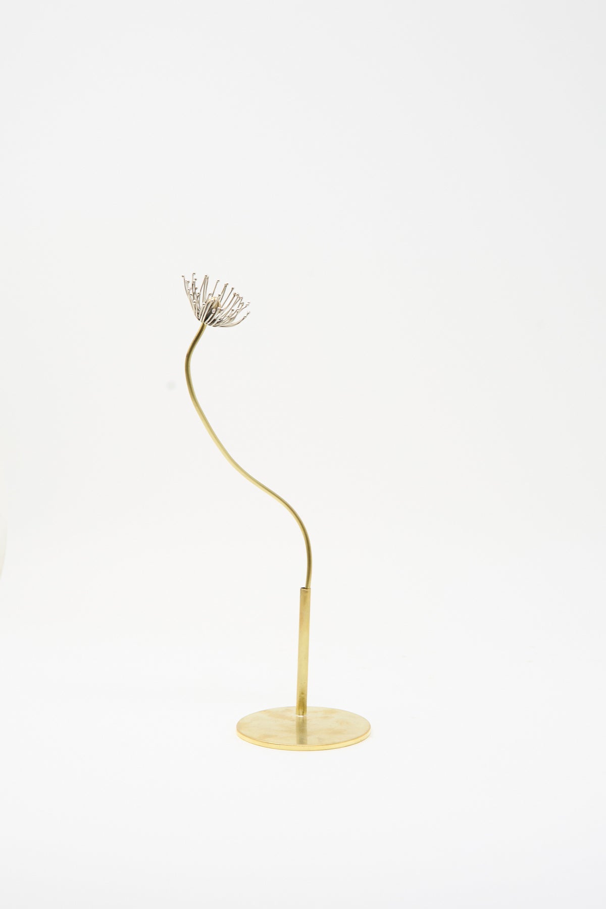 Alison Layton Sterling Silver and Brass Papaver No. 11: a sculptural metal poppy with a silver-toned seed head on a long, curved brass stem and circular base.