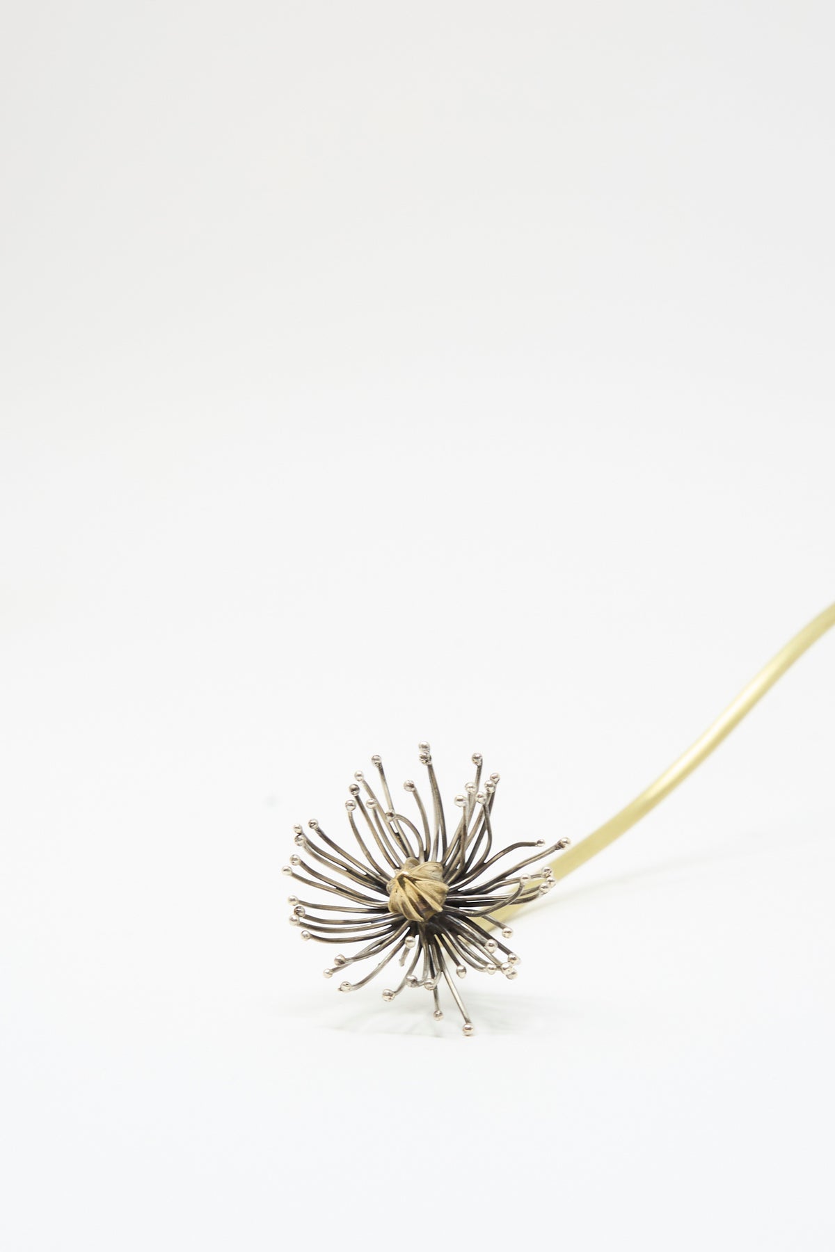 Alison Layton Sterling Silver and Brass Papaver No. 12 - I sculptural flower featuring a brass stem and a head of radiating silver wires tipped with small spheres.
