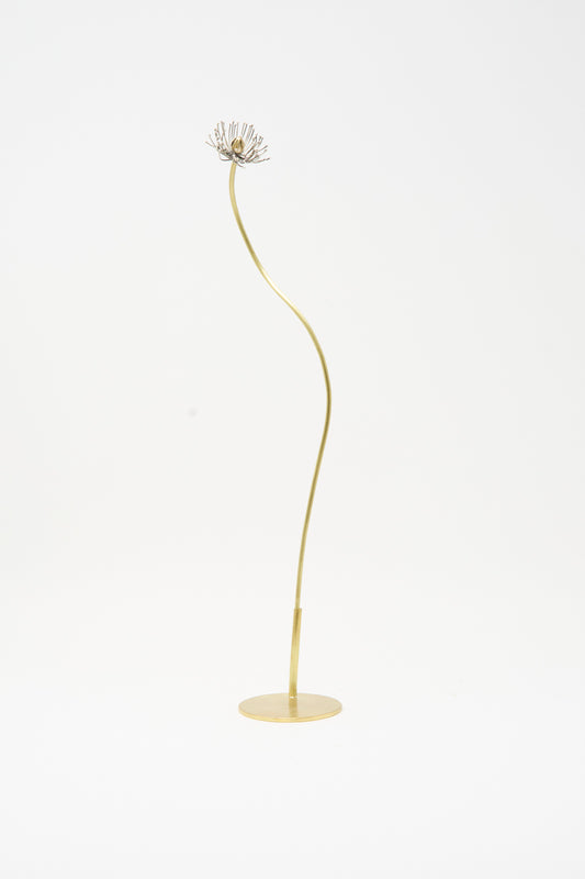 A tall, slender brass Papaver No. 12 - I sculpture by Alison Layton, featuring a silver seed head on a curved stem and circular base.