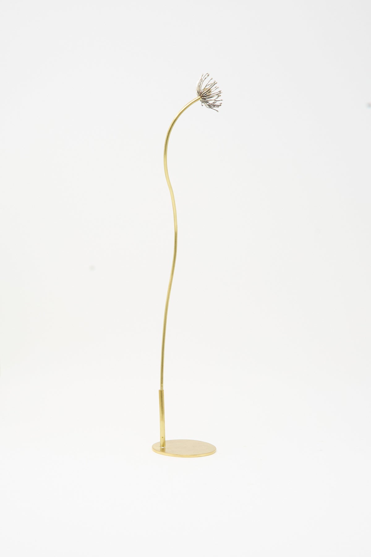 Alison Layton Sterling Silver and Brass Papaver No. 12 - I, a tall, slender brass sculpture shaped like a single flower on a long, wavy stem with a metallic seed head.