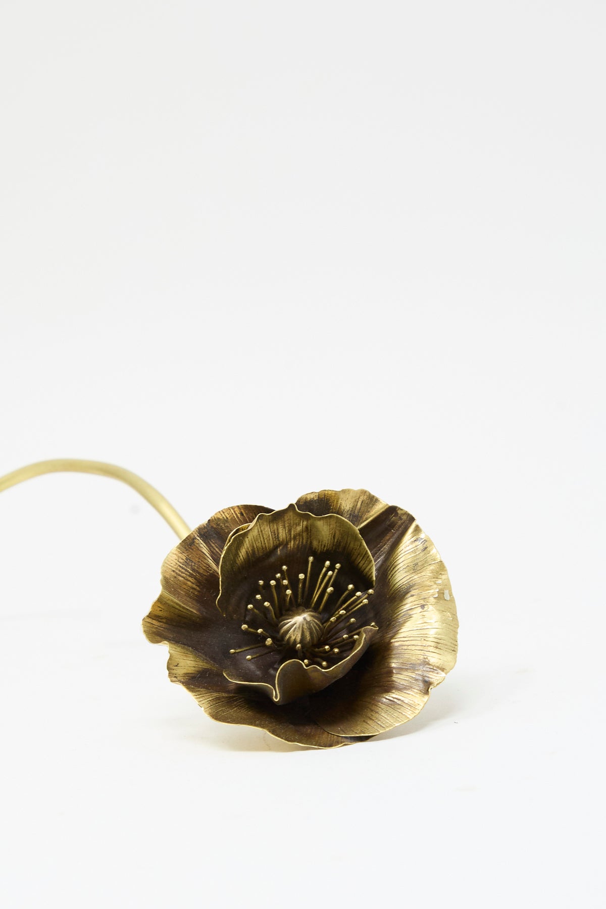 Handmade Sterling Silver and Brass Papaver No. 7 - II metal poppy flower sculpture with a curved stem.