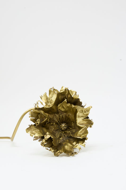 A handmade Brass Papaver No. 4 sculpture by Alison Layton in the form of a decorative metal poppy flower with thin, textured petals and a slender stem.