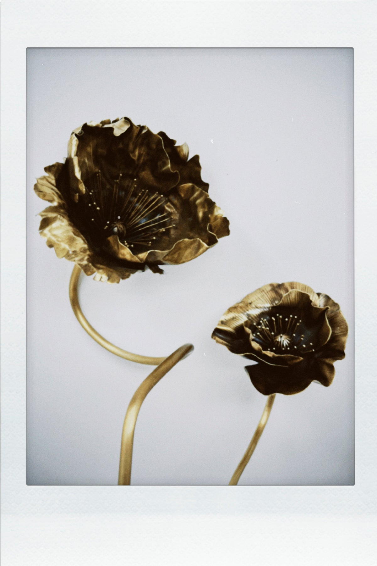 A polaroid of Alison Layton's hand sculpted flowers.