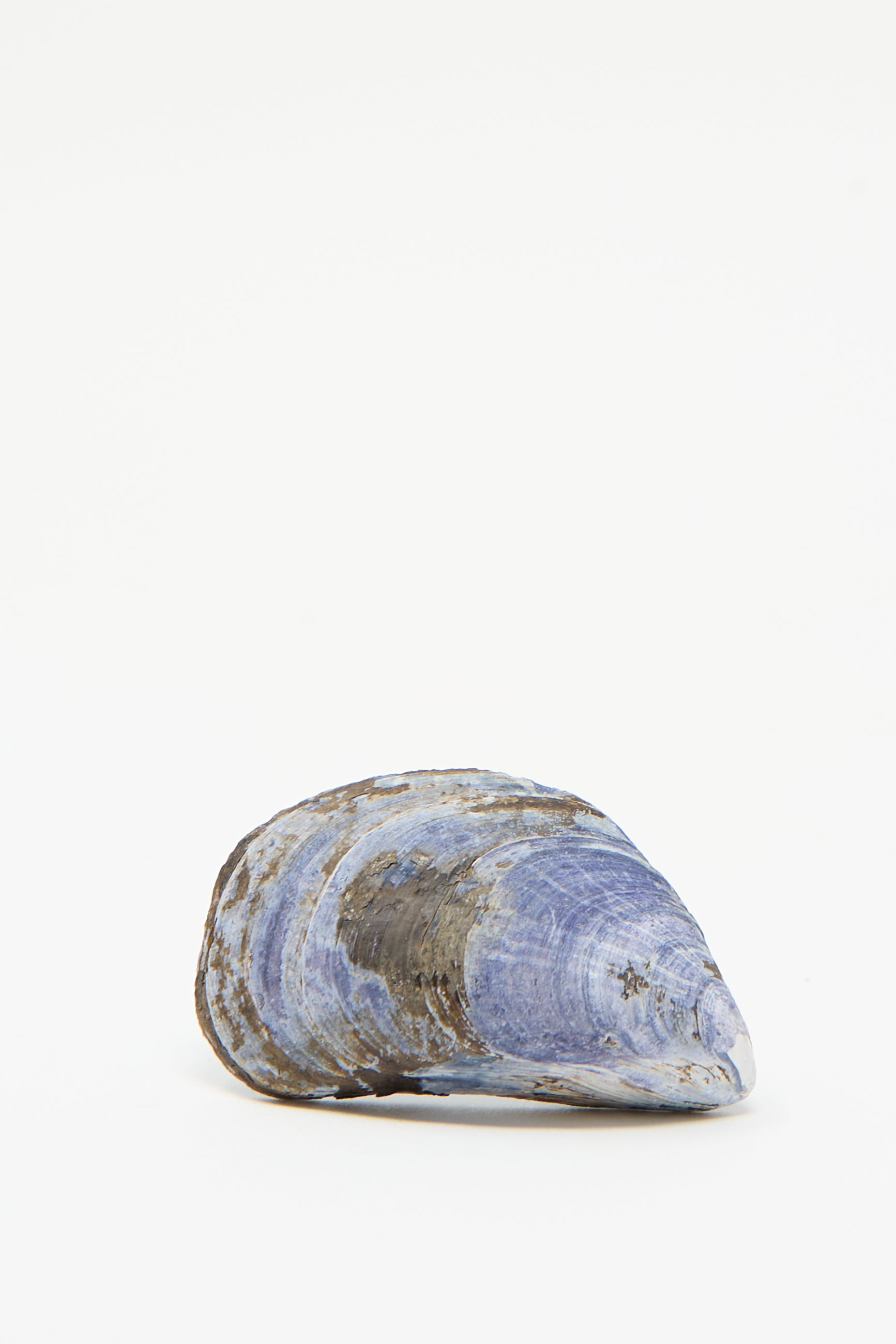 The back of the Alyssa Goodman Hand Painted Family Shell, featuring a blue and gray design that mimics hand-painted blue watercolor, is displayed against a plain white background.