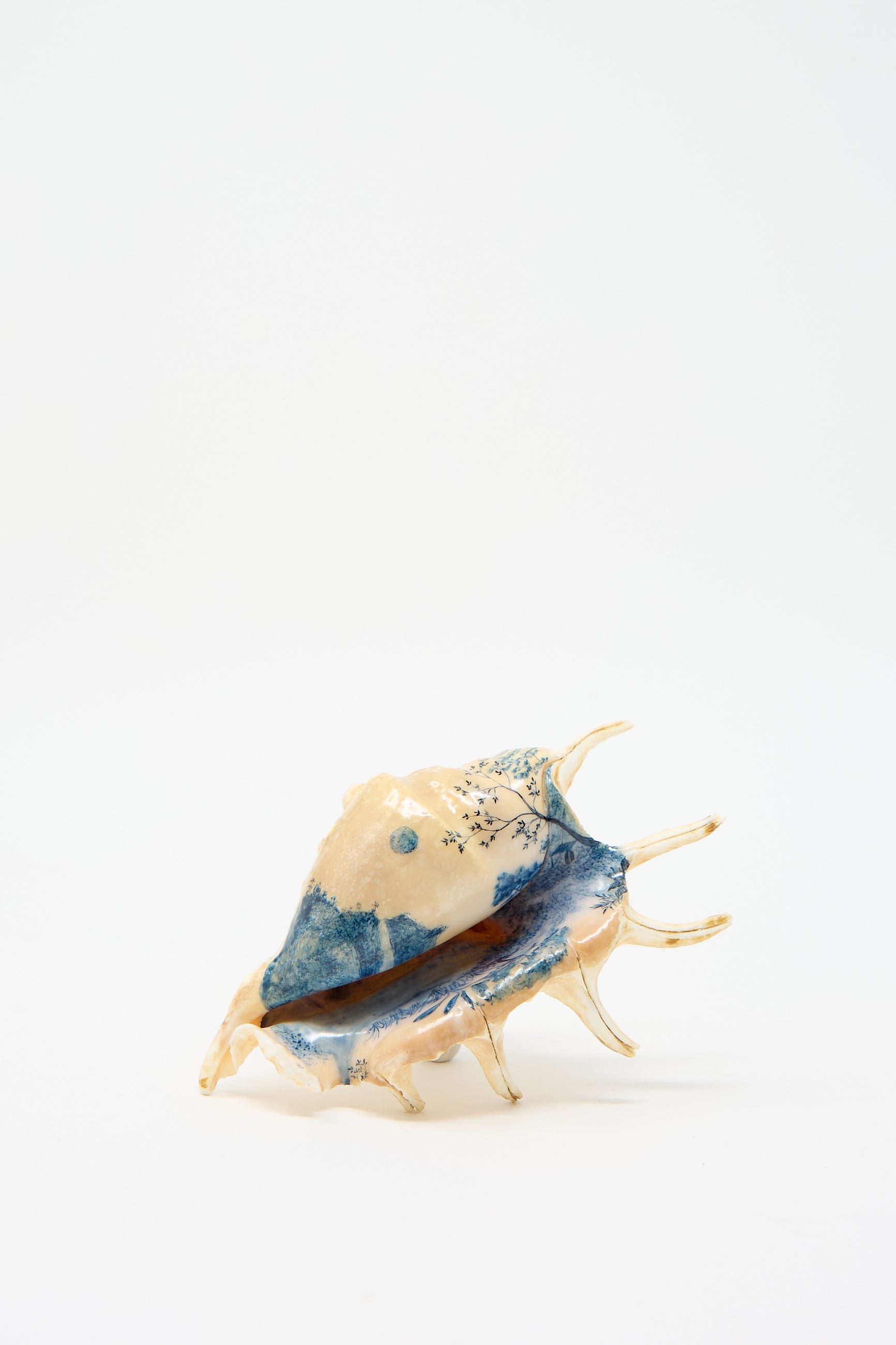 The "Hand Painted Spider Shell" by Alyssa Goodman is a ceramic sculpture designed to evoke the delicate beauty of abalone, featuring a blue and beige seashell with intricate protruding spikes set against a plain white background.