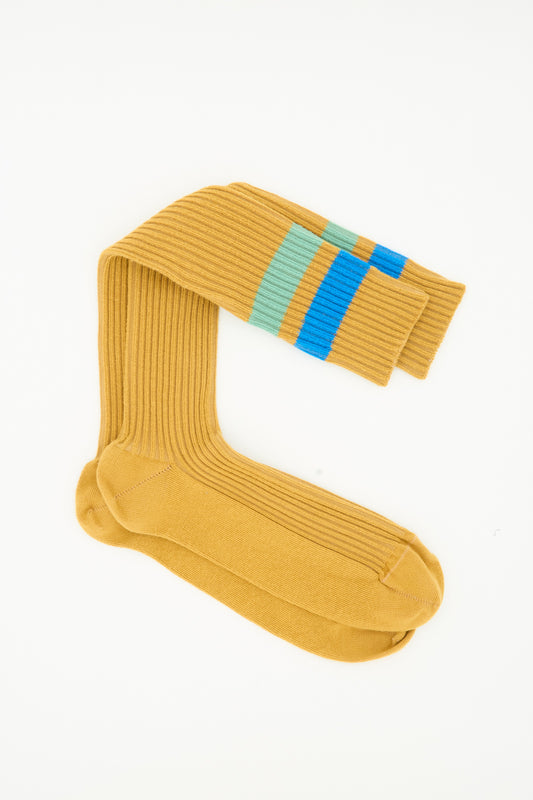 A pair of Baserange Race Knee Socks in Silva Brown, made from cotton rib and featuring blue, green, and tan stripes near the top, laid flat on a white background. Made in France.