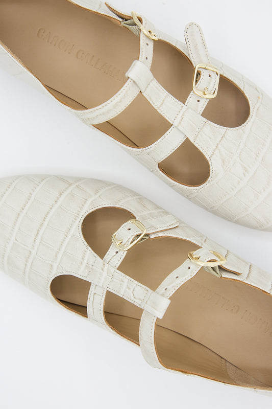A pair of Caron Callahan Alfie Flat in Ivory Embossed Leather t-strap sandals with gold buckles against a white background.