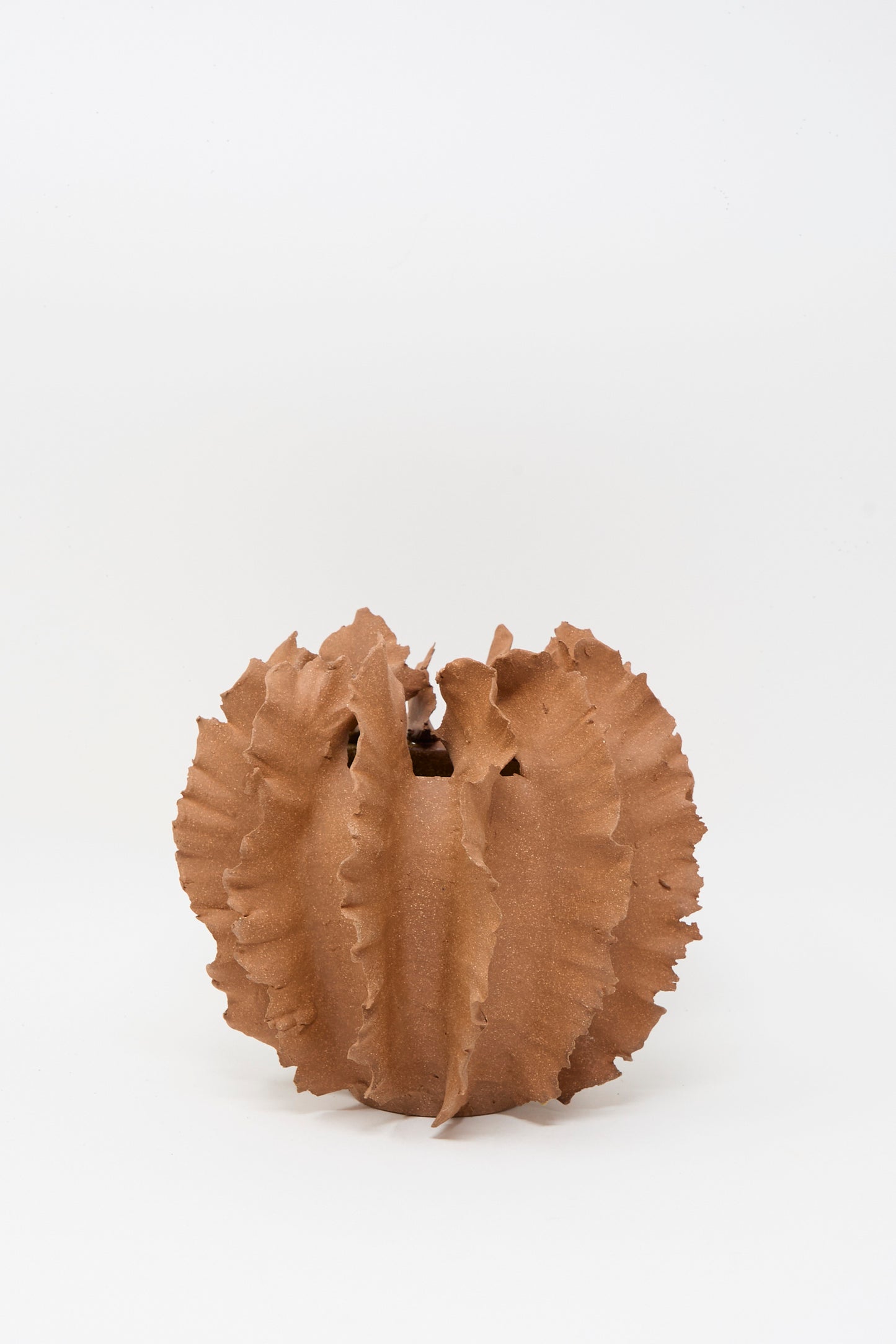 The Wild Petal Mini Vase in Terracotta by Chala Toprak, featuring a round stoneware form with jagged, ruffled edges, is displayed against a plain white background.