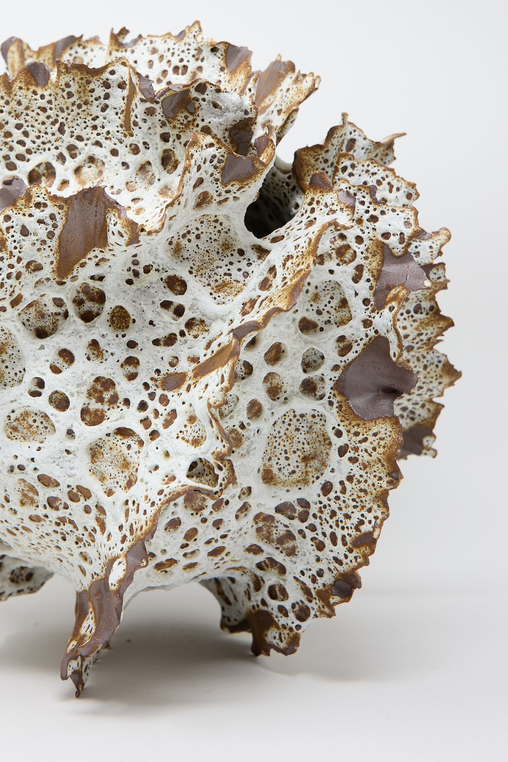 The Wild Petals N. 13 Vase by Dear You is an abstract sculpture that mirrors the appearance of a coral or organic formation with its white porous texture and brown ridges, capturing the artistry of a hand-built vase. Placed against a simple background, it highlights the delicate intricacy of textured glaze finishes.