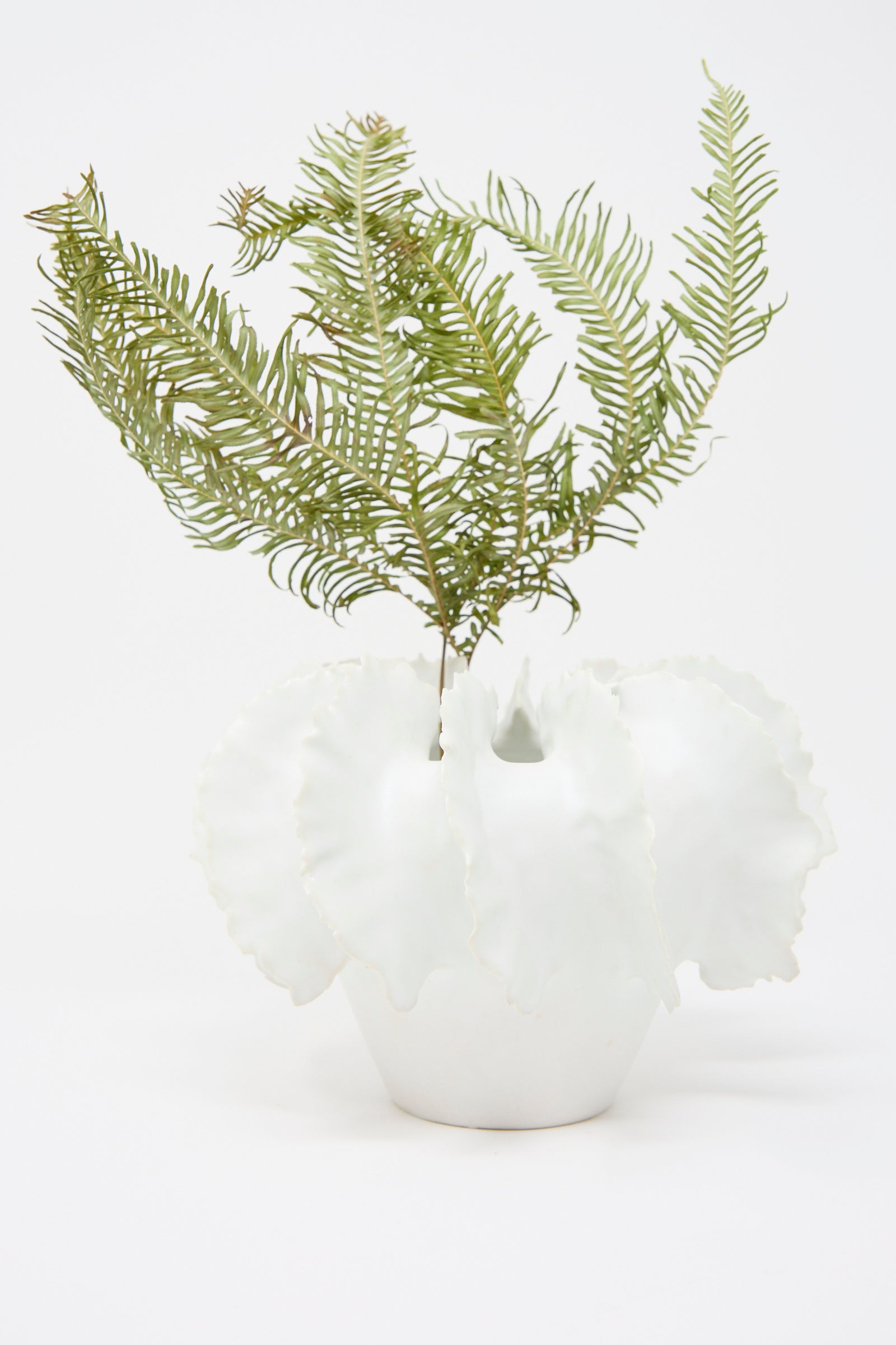 The Wild Petals N. 22 Vase by Dear You is a unique, hand-built white ceramic piece with a wavy textured surface, filled with green fern-like branches against a plain background.