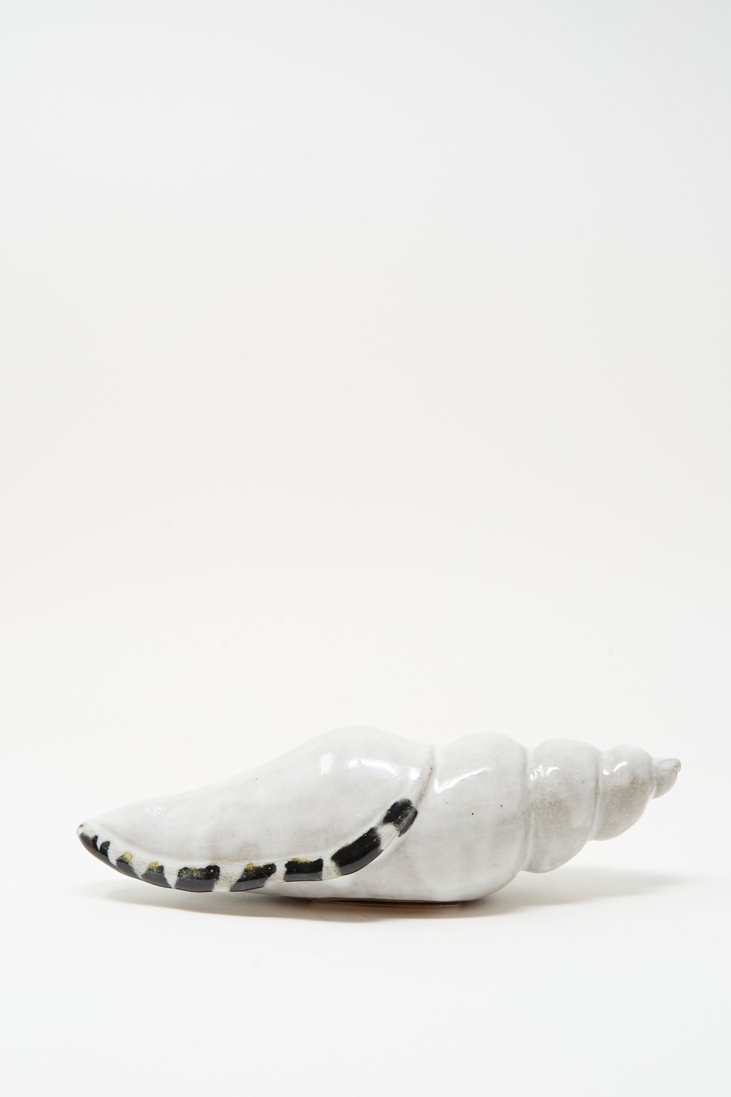 The Shell Rattle LXXXII by E.C.C.E is a handmade ceramic conch sculpture from NYC, featuring white with black markings and shown against a plain white background.