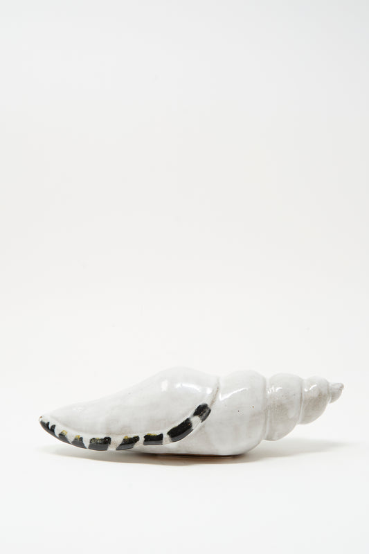 The Shell Rattle LXXXII by E.C.C.E is a handmade ceramic conch sculpture from NYC, featuring white with black markings and shown against a plain white background.