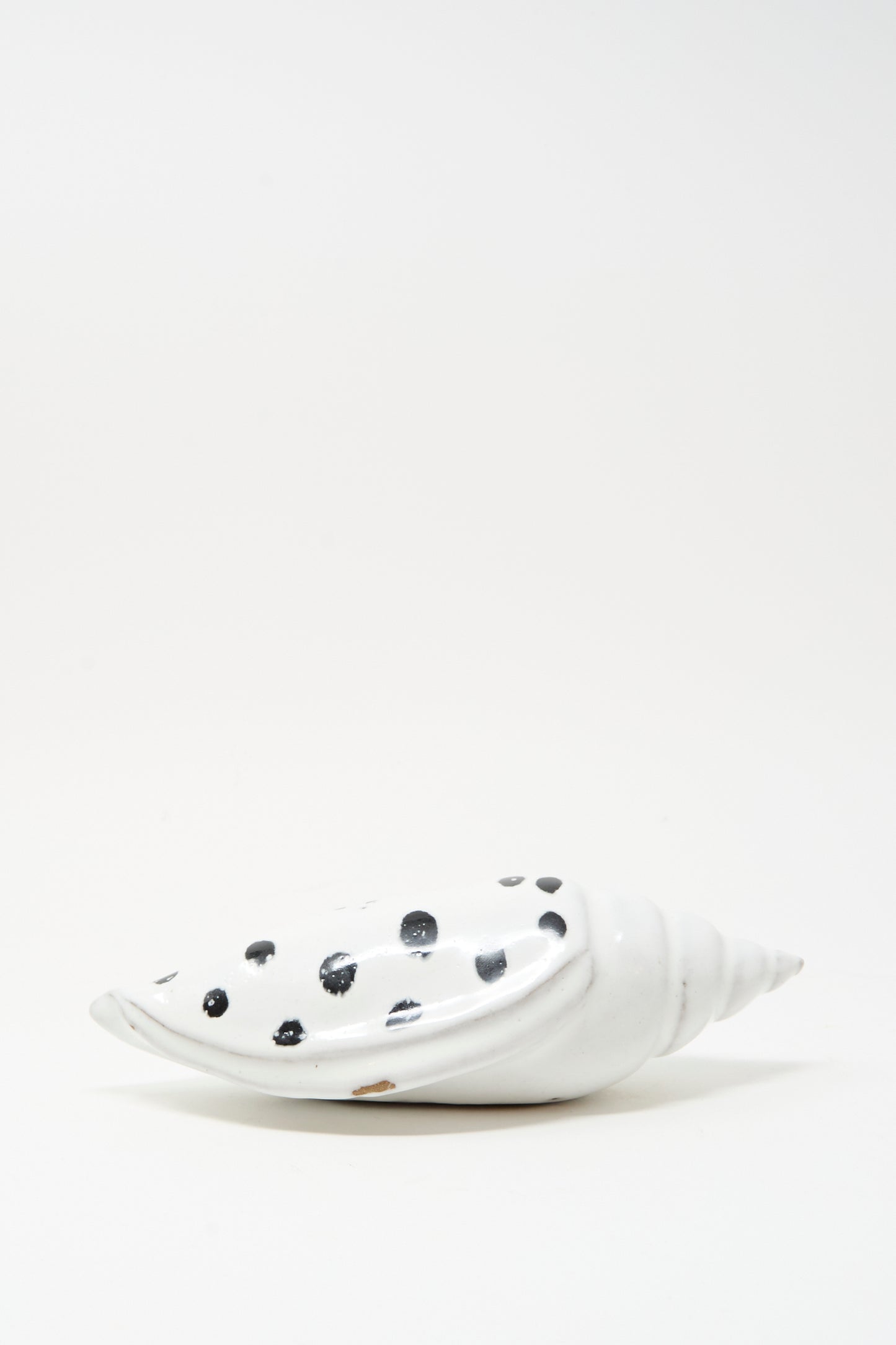 The Shell Rattle XCIII by E.C.C.E is a handmade ceramic shell, white with black spots, displayed on a plain white background.