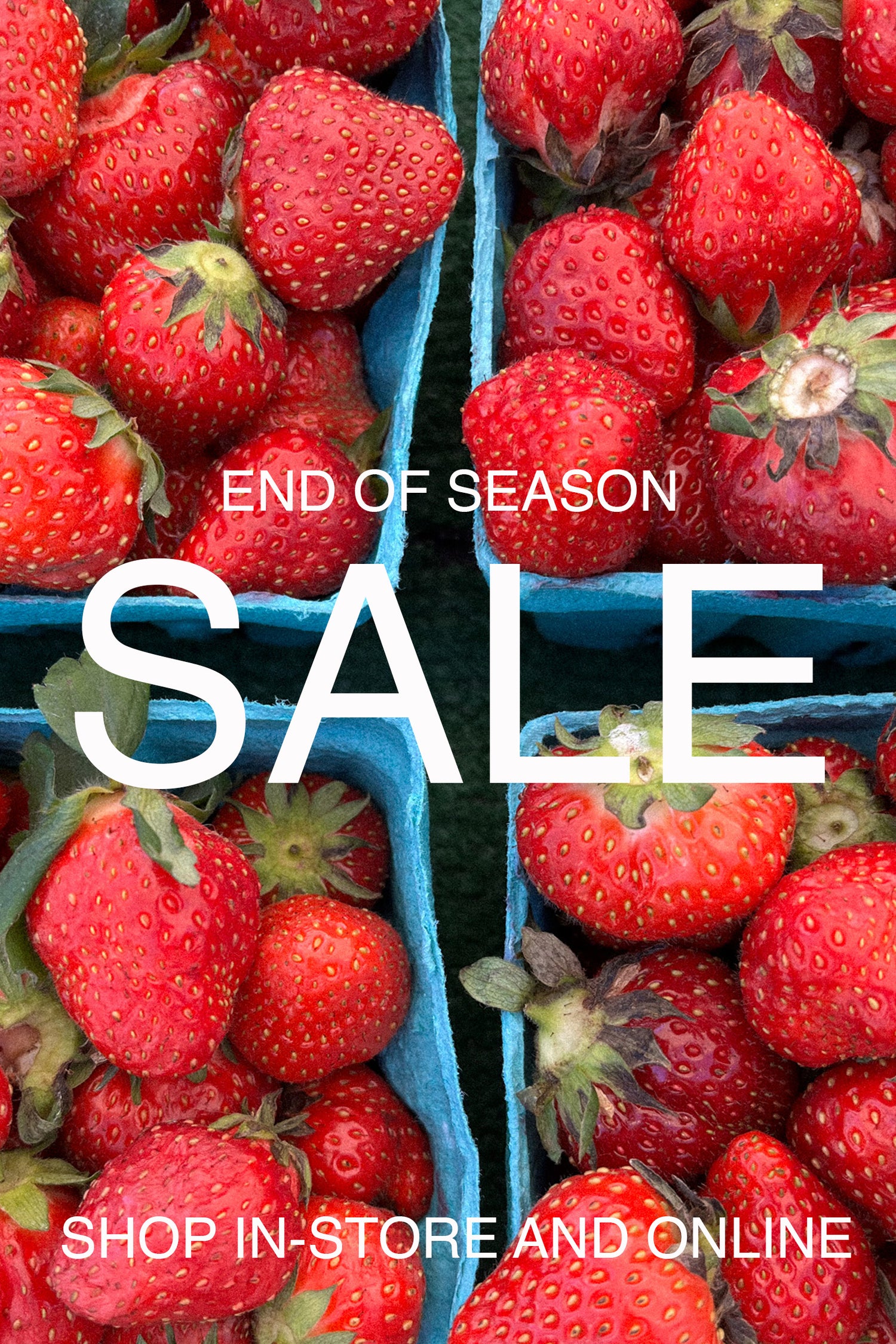 Strawberries in blue cartons with 'End of Season Sale' text overlay.