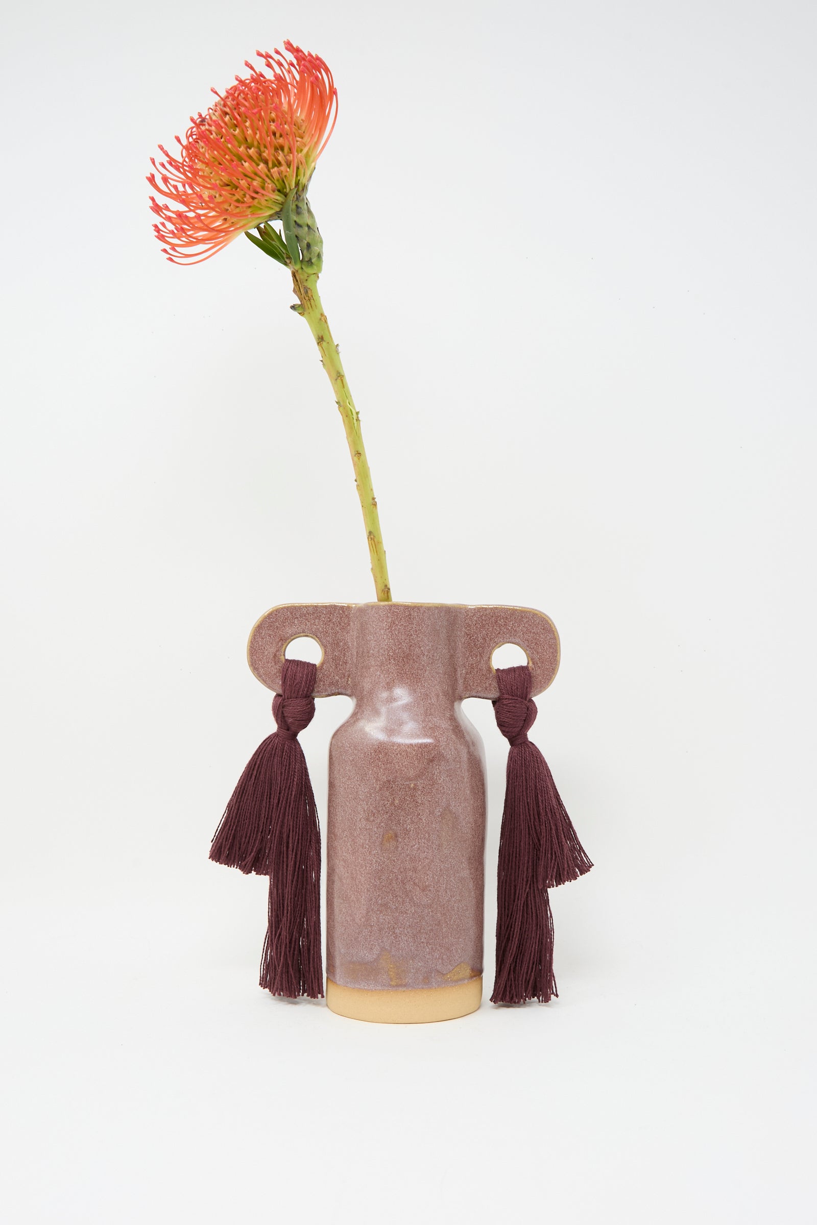 A single orange pincushion flower in Karen Tinney’s Vase #606 in Burgundy, featuring two maroon tassels, set against a plain white background.