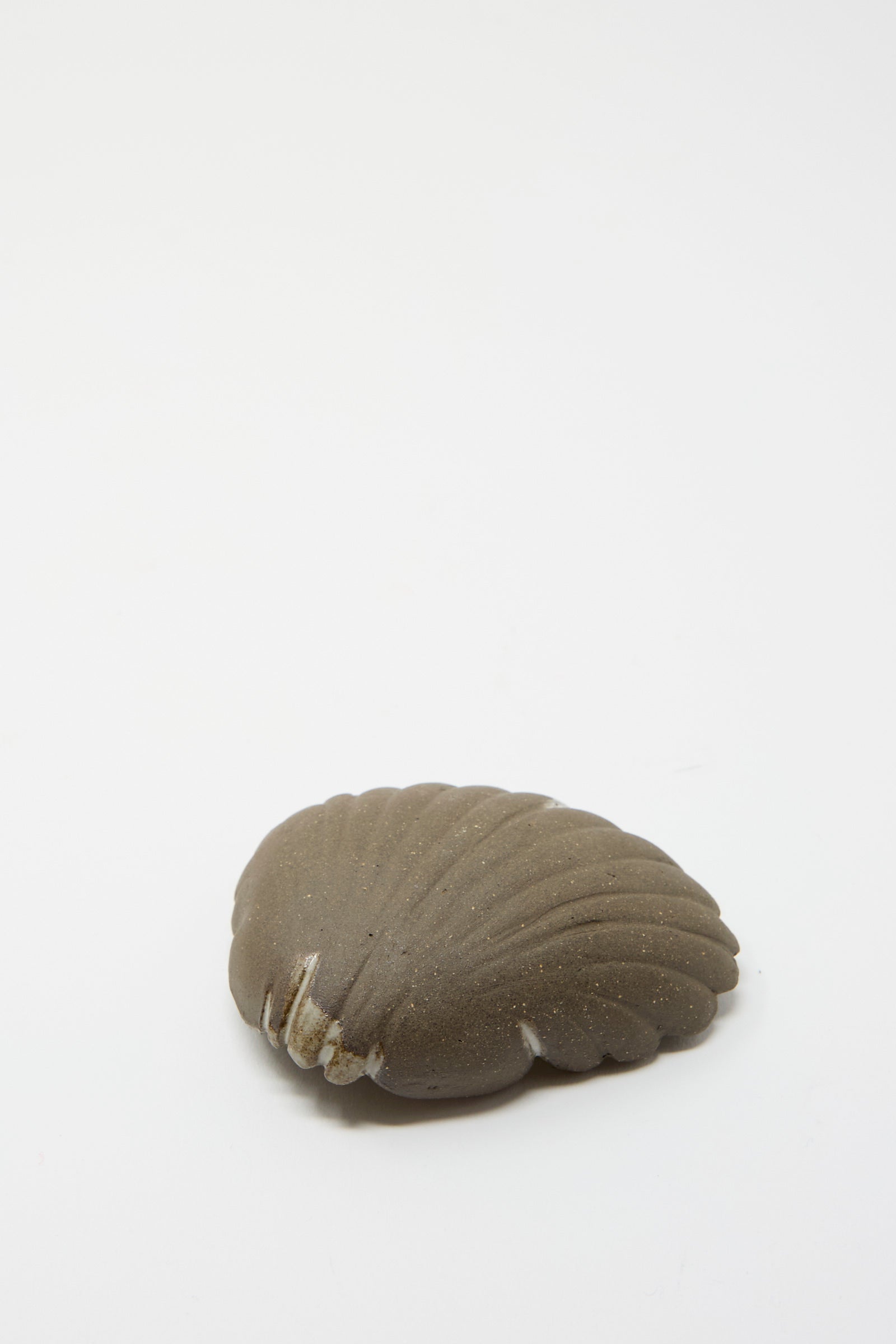 The Small Ceramic Shell Dish in Brown with Light Glaze by Lost Quarry, featuring a ridged design and sandy texture, is placed on a plain white background.