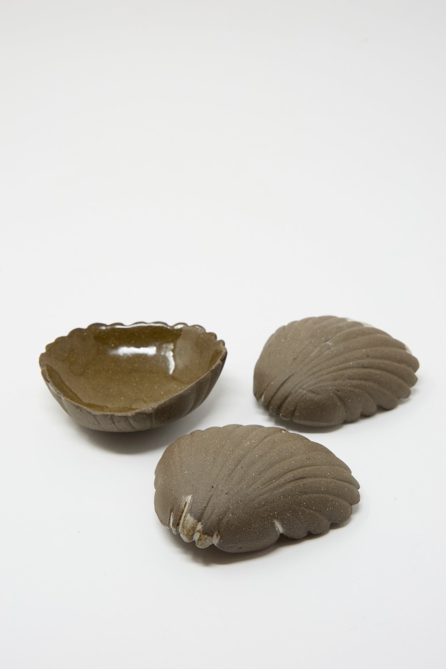 A trio of shell-shaped ceramic items from Lost Quarry against a white backdrop: the Small Ceramic Shell Dish in Dark Brown is open, revealing its interior glaze, while the other two rest as closed clamshells.