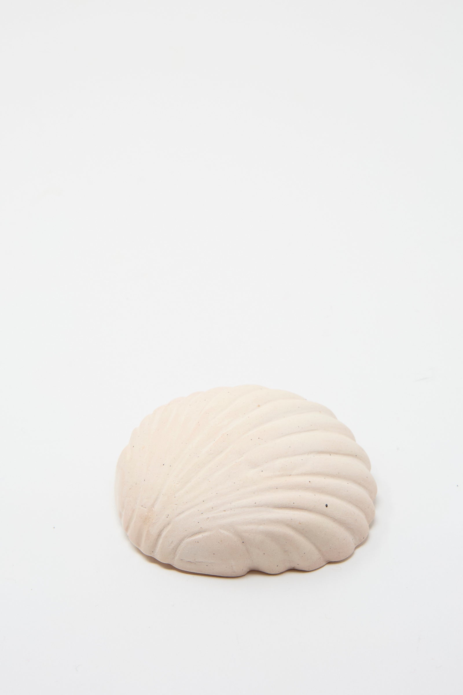 The Small Ceramic Shell Dish in Light Pink by Lost Quarry is displayed against a simple white backdrop, highlighting its craftsmanship and texture reminiscent of a natural seashell.