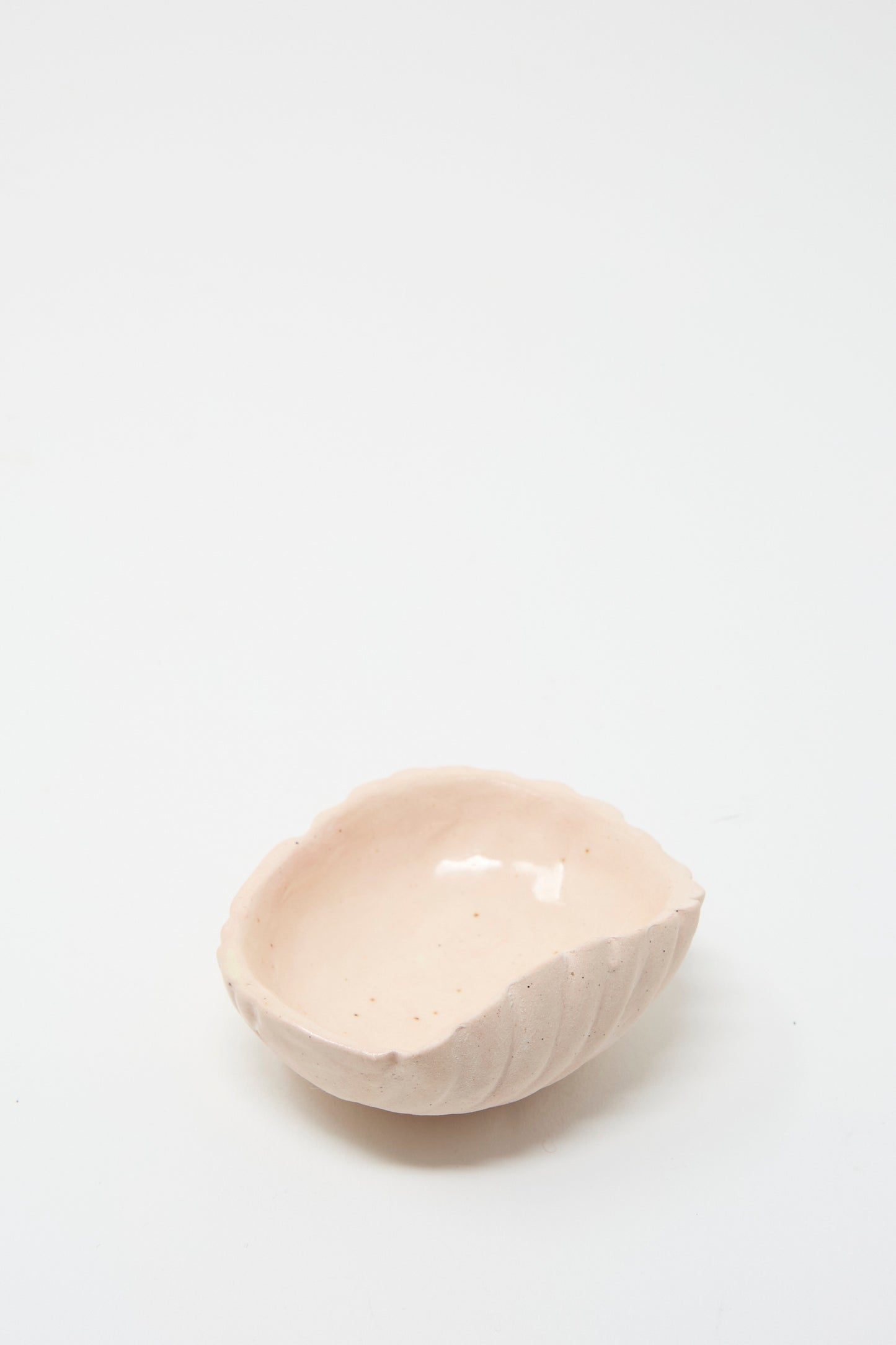 The Lost Quarry Small Ceramic Shell Dish in Light Pink showcases a smooth pale pink clay surface, displayed against a simple white background.