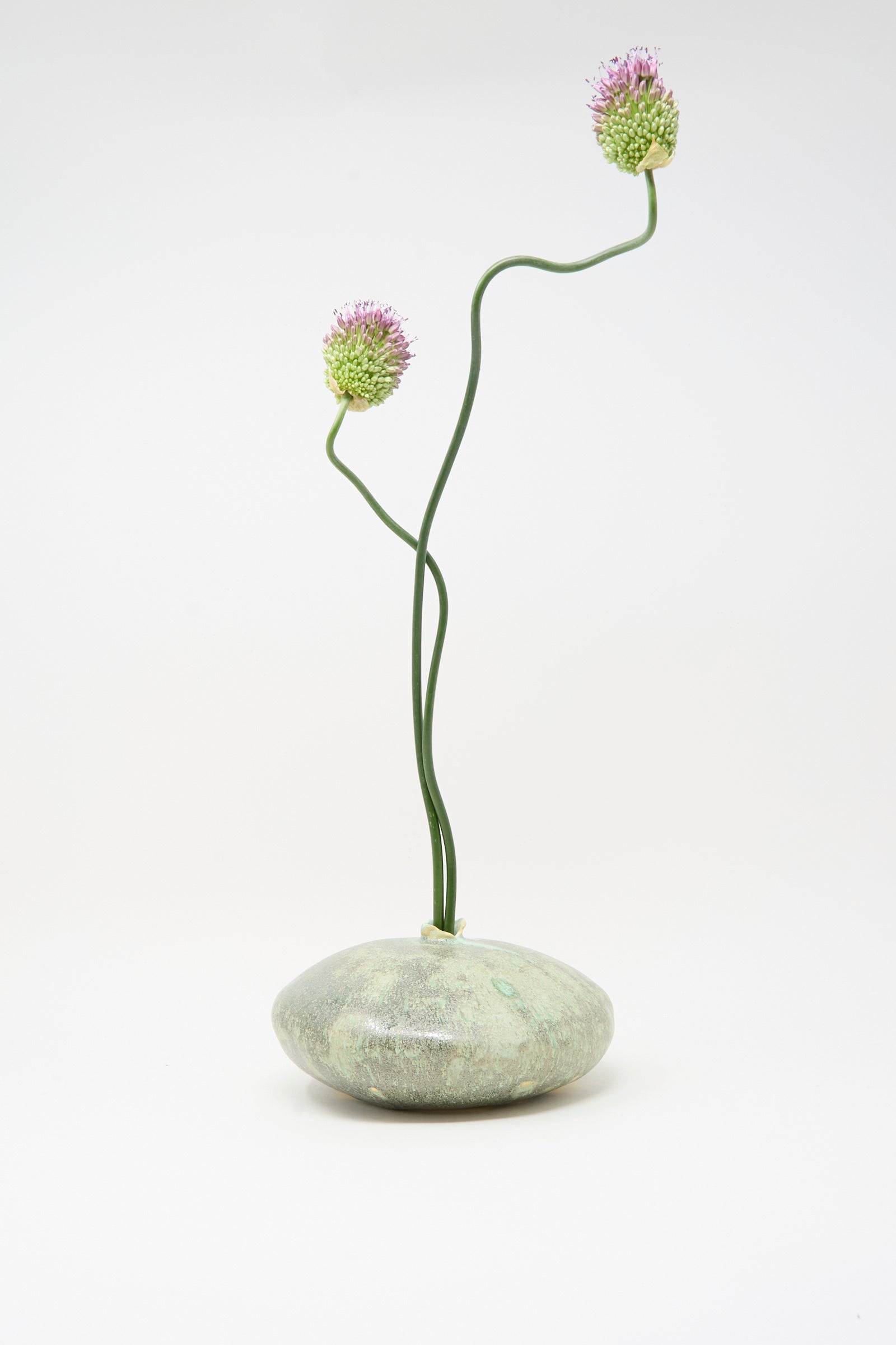 Two tall, curved green stems with round purple flowers are arranged in the Doyle Vase in Lichen by MONDAYS, a smooth handmade oval stone vase, set against a plain white background.
