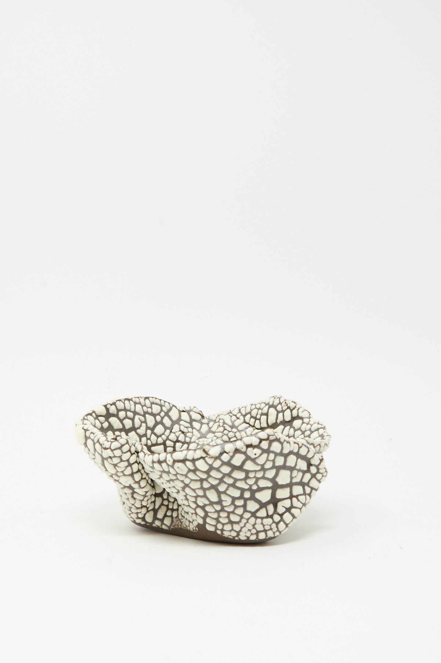 The MONDAYS Folded Wavy Bowl in Crawl IV is a small, hand-built gray bowl with a textured crawling white glaze, displayed on a plain white background.