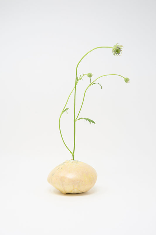 A pale round root vegetable with green stems and buds is placed beside the MONDAYS Mini Moon Vase in Yellow Multi, set against a plain white background.